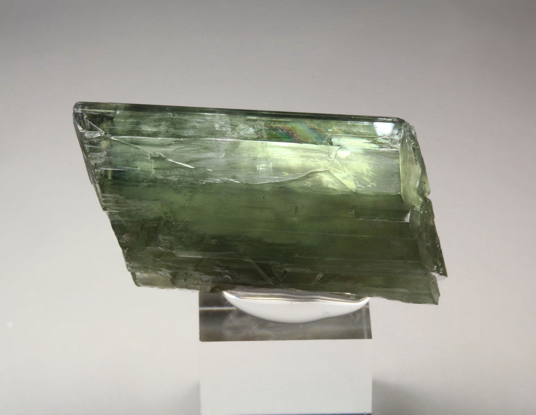 gemmy TREMOLITE bi-terminated