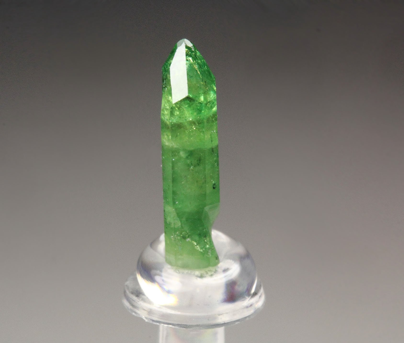 gemmy VESUVIANITE var. CHROMIAN