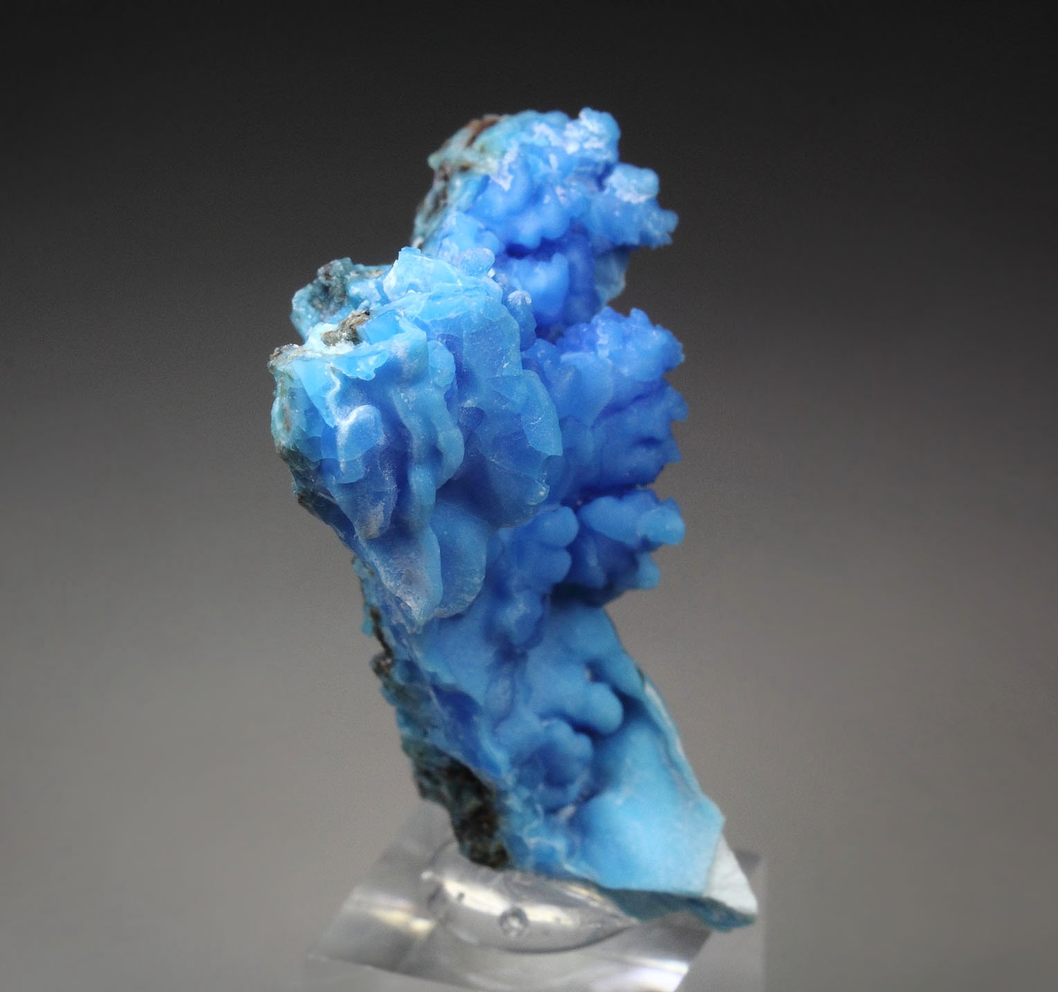 EVANSITE