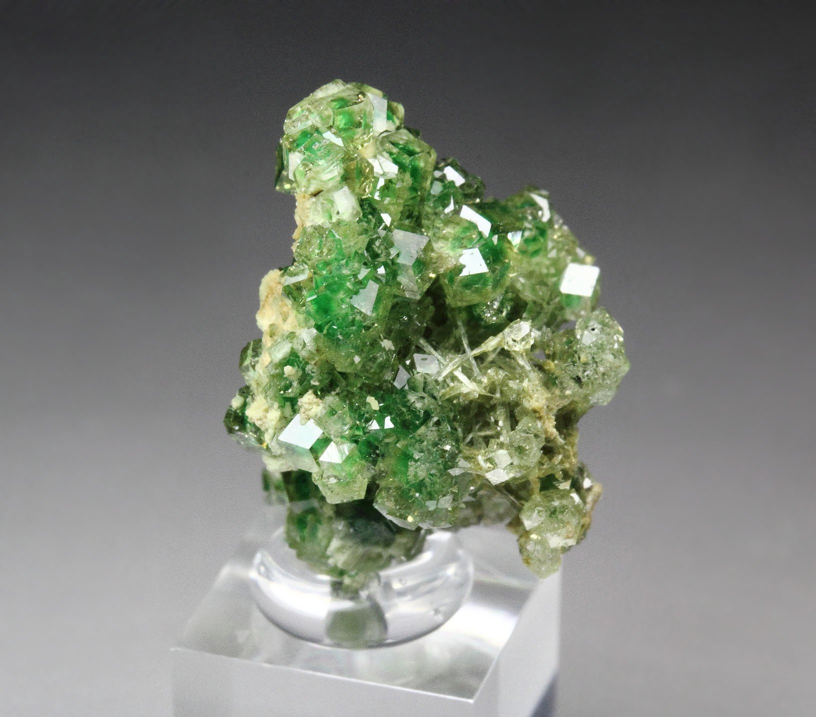 gem GARNET var. GROSSULAR with GREEN CHROMIAN PHANTOMS