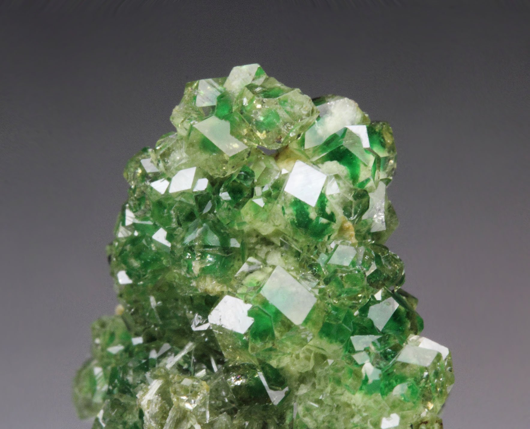 gem GARNET var. GROSSULAR with GREEN CHROMIAN PHANTOMS