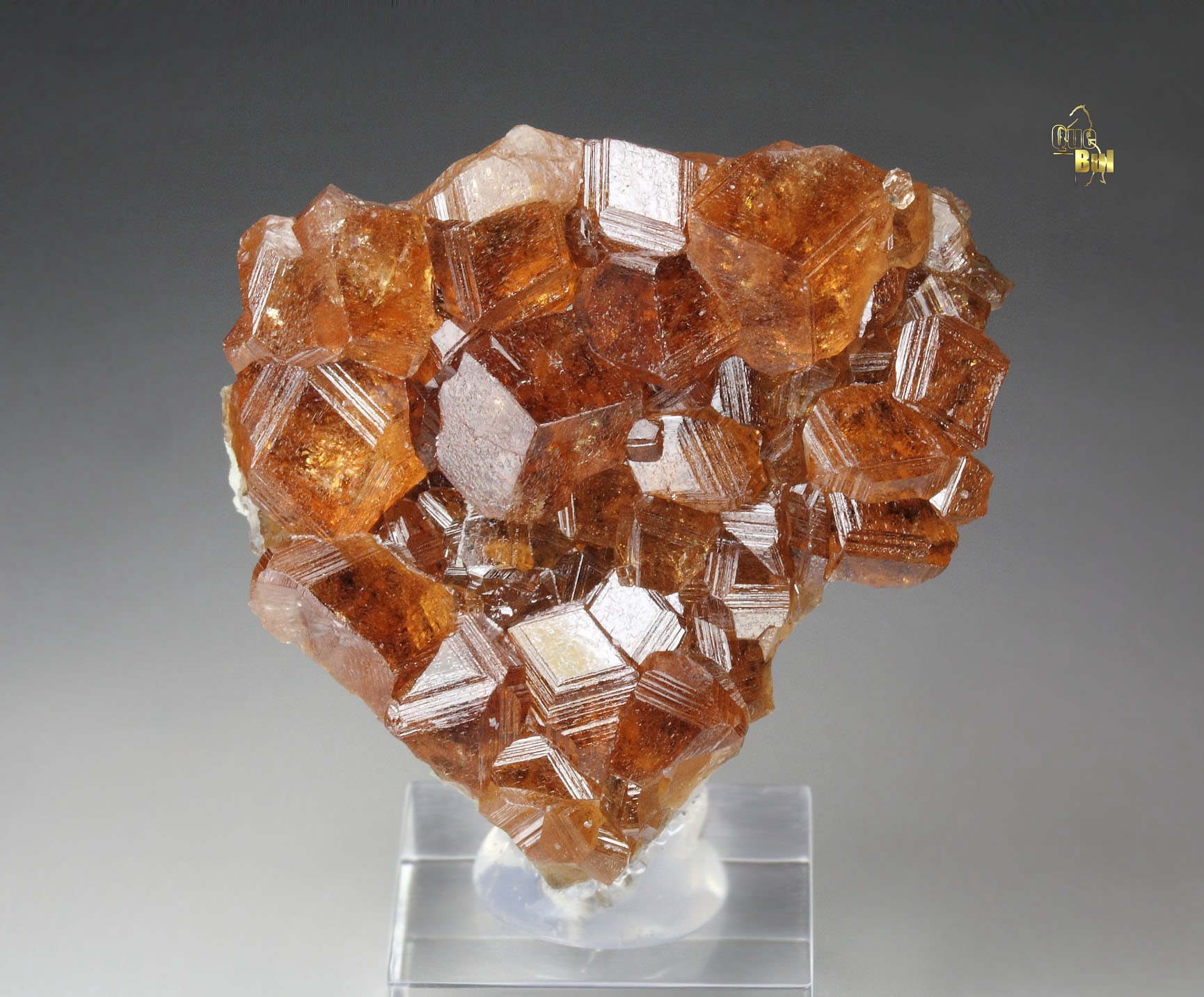 gem GARNET var. GROSSULAR