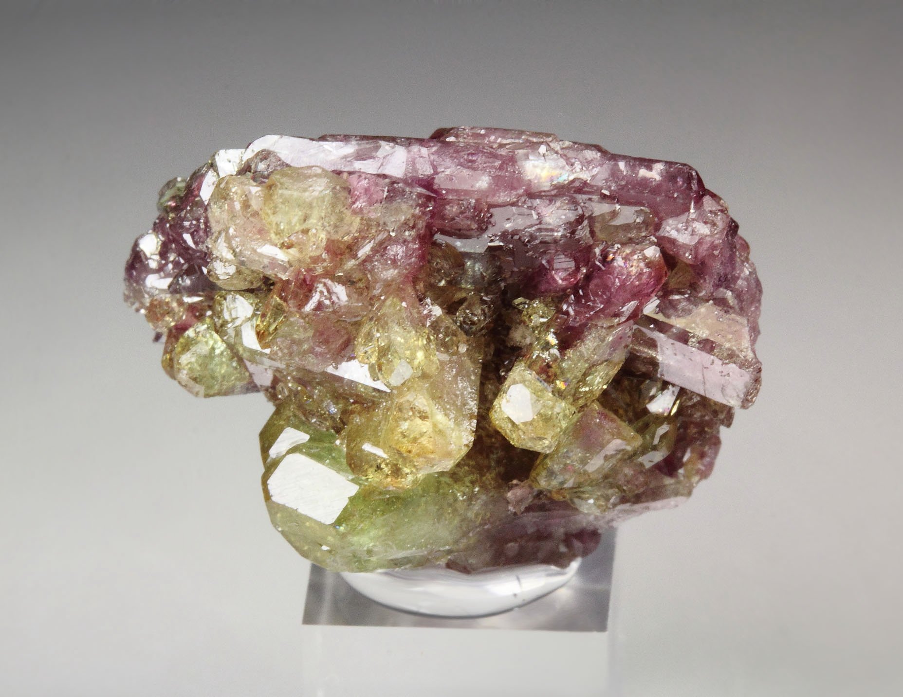 gem VESUVIANITE bi-color