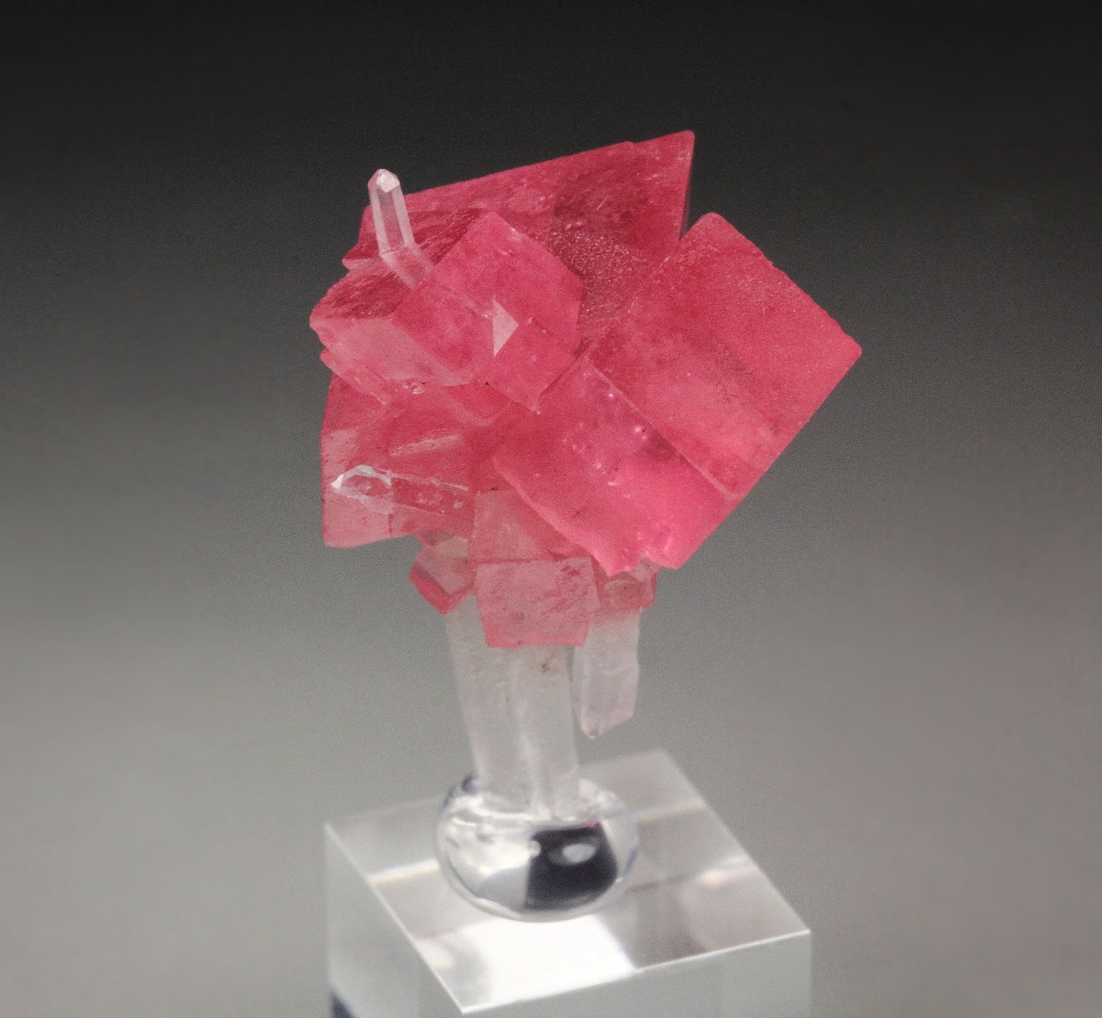 gemmy RHODOCHROSITE, QUARTZ