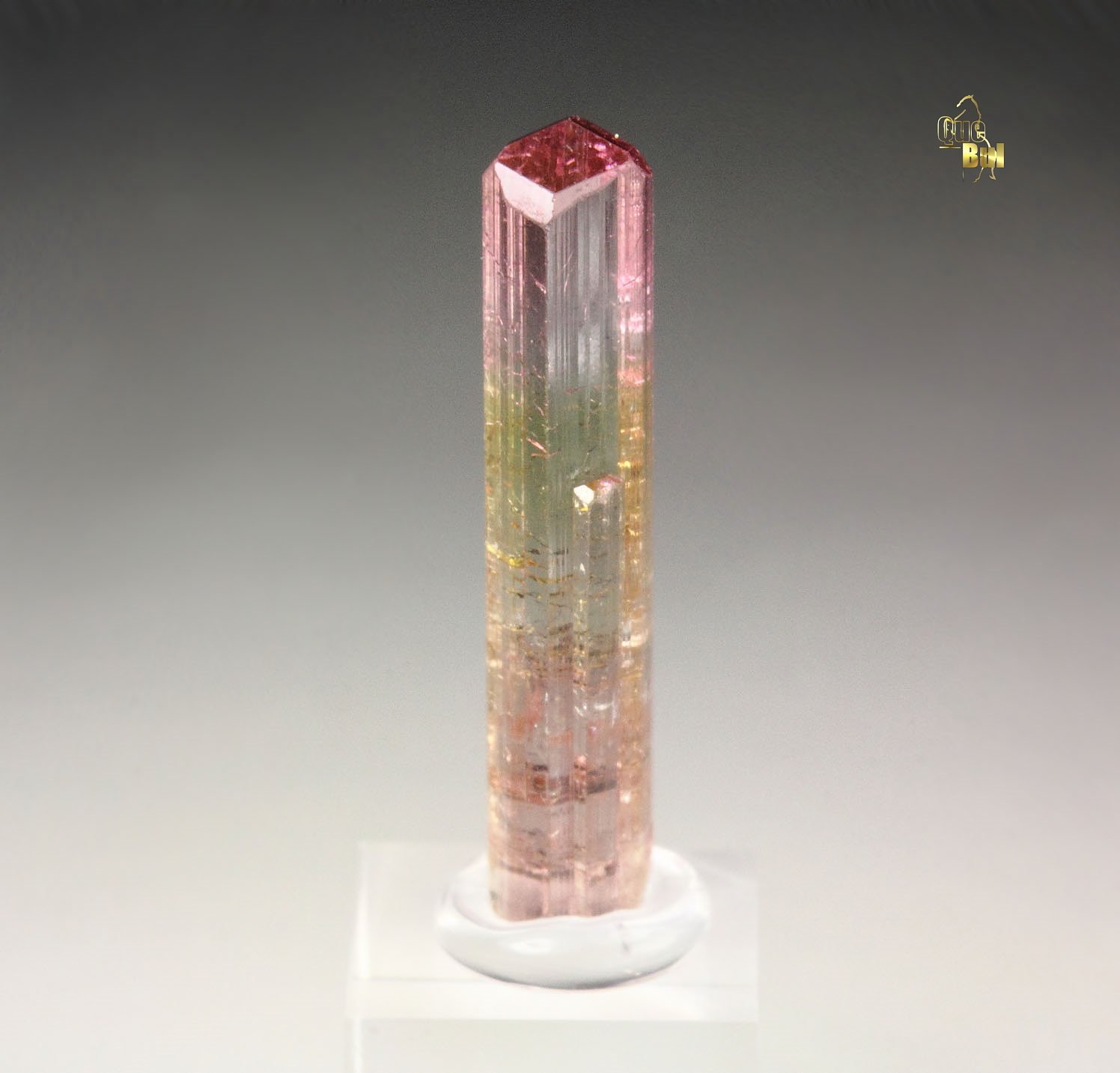 gem TOURMALINE var. ELBAITE bi-color