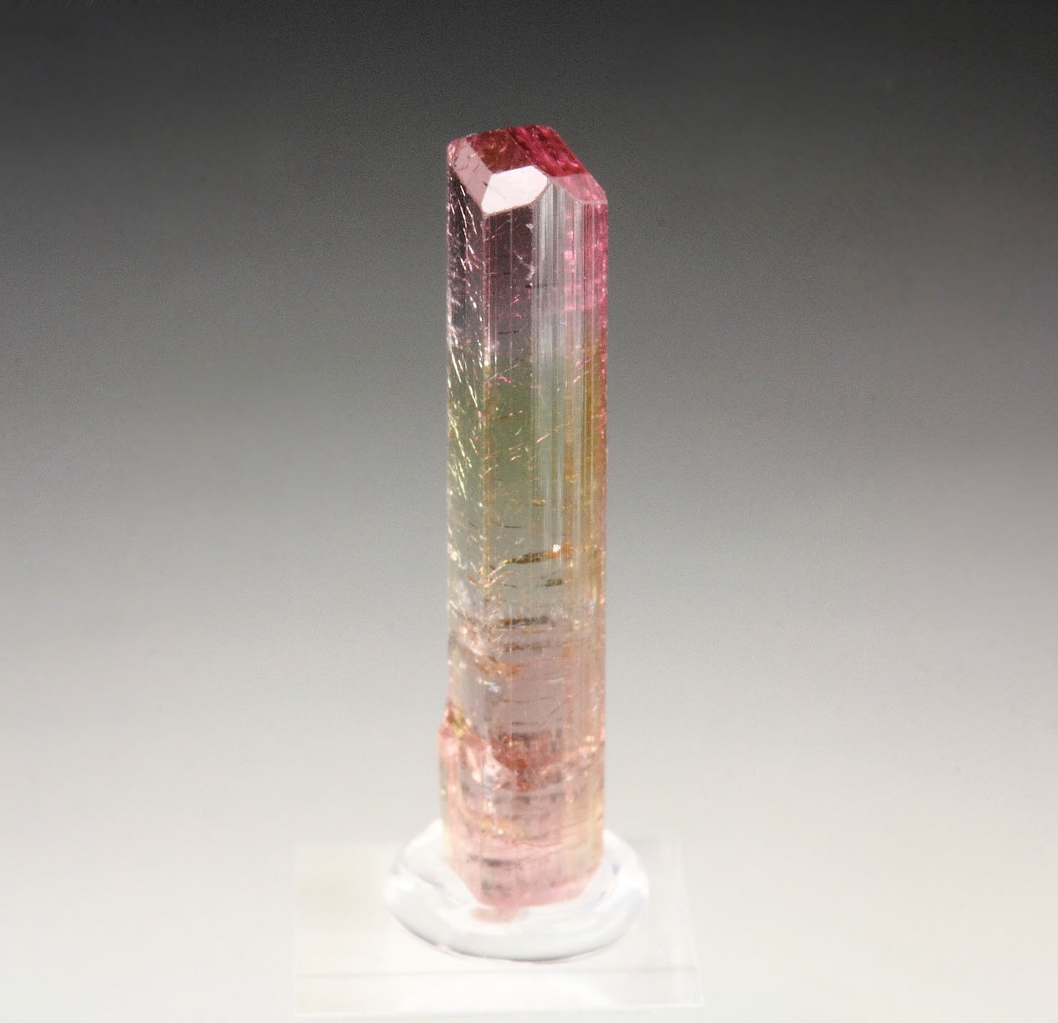 gem TOURMALINE var. ELBAITE bi-color