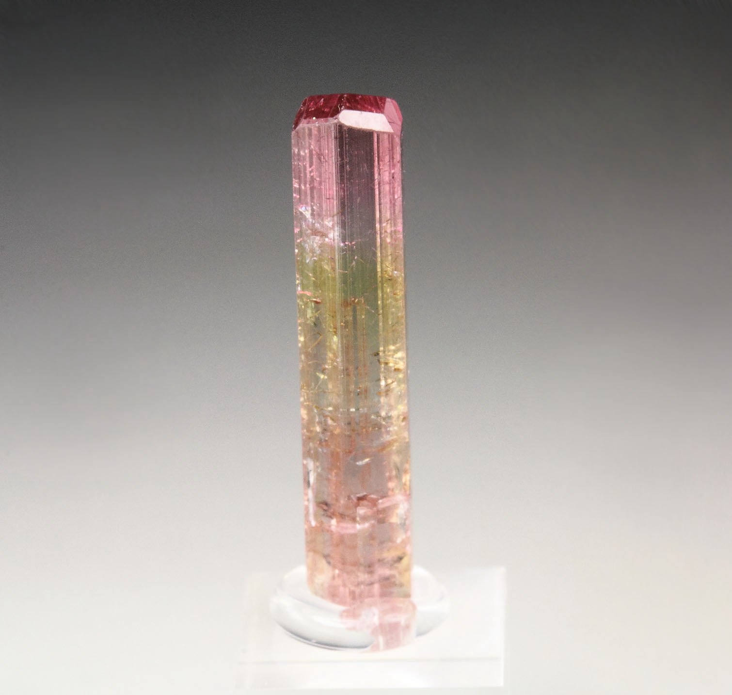 gem TOURMALINE var. ELBAITE bi-color