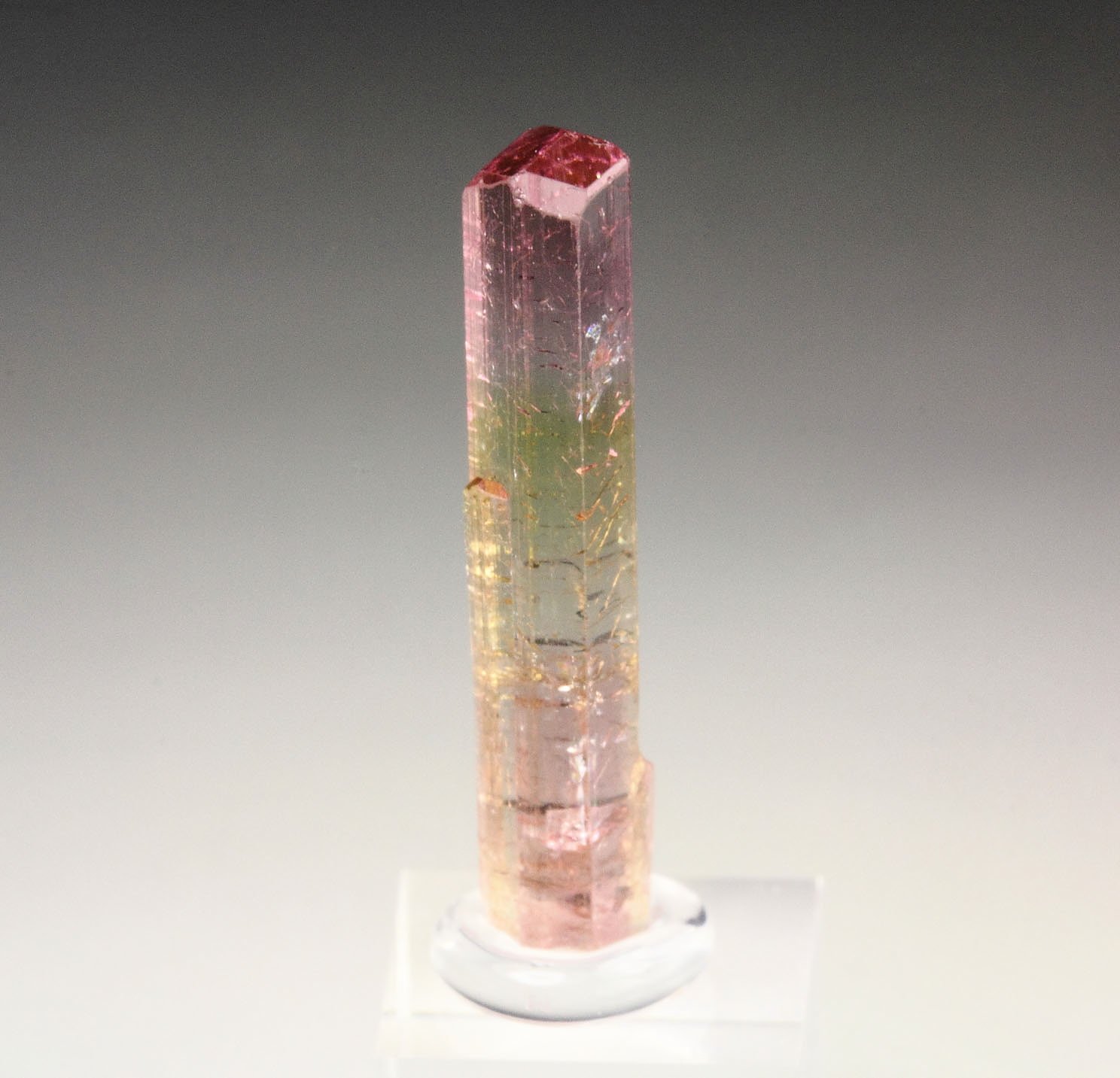 gem TOURMALINE var. ELBAITE bi-color