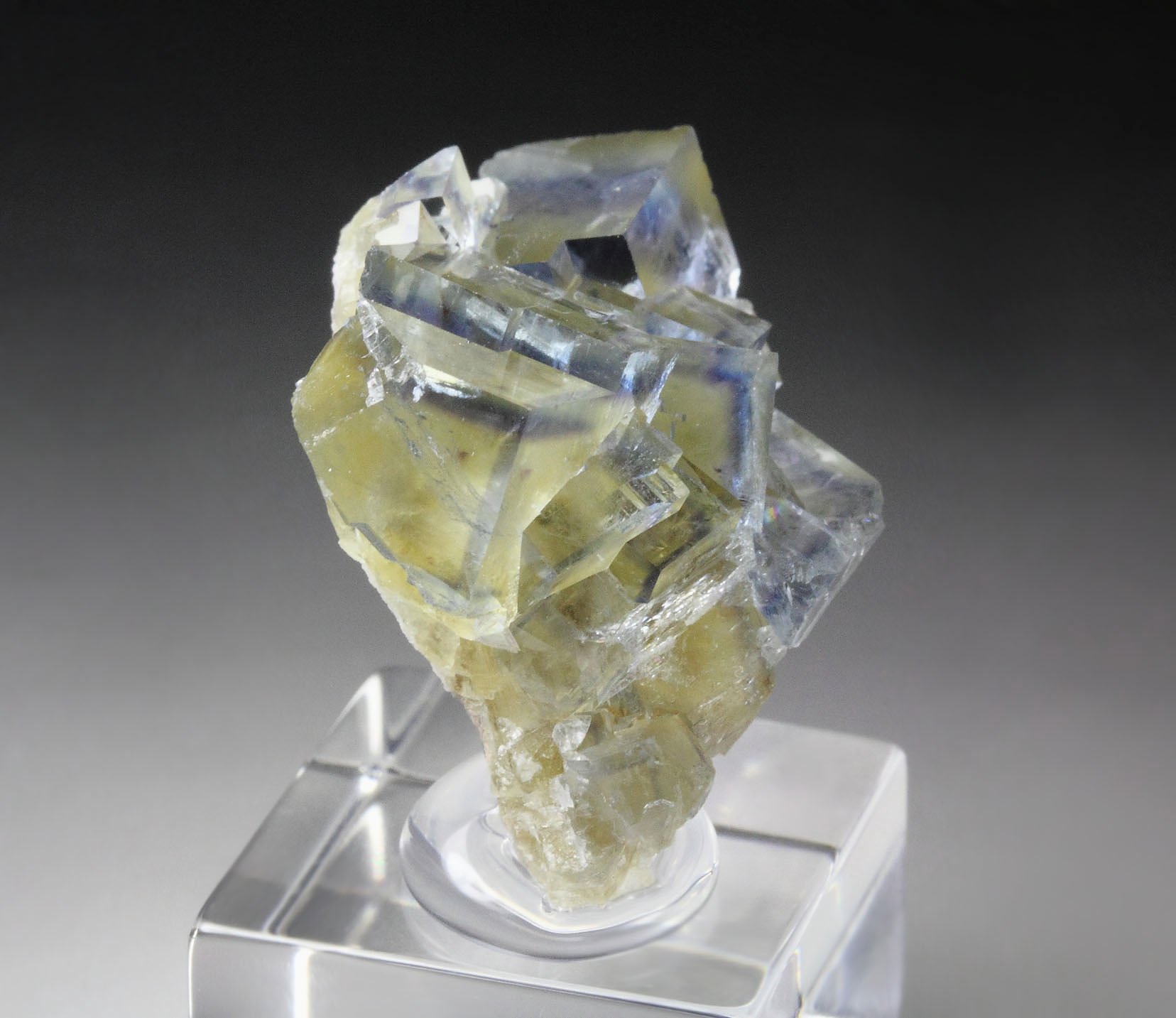 FLUORITE with PHANTOMS