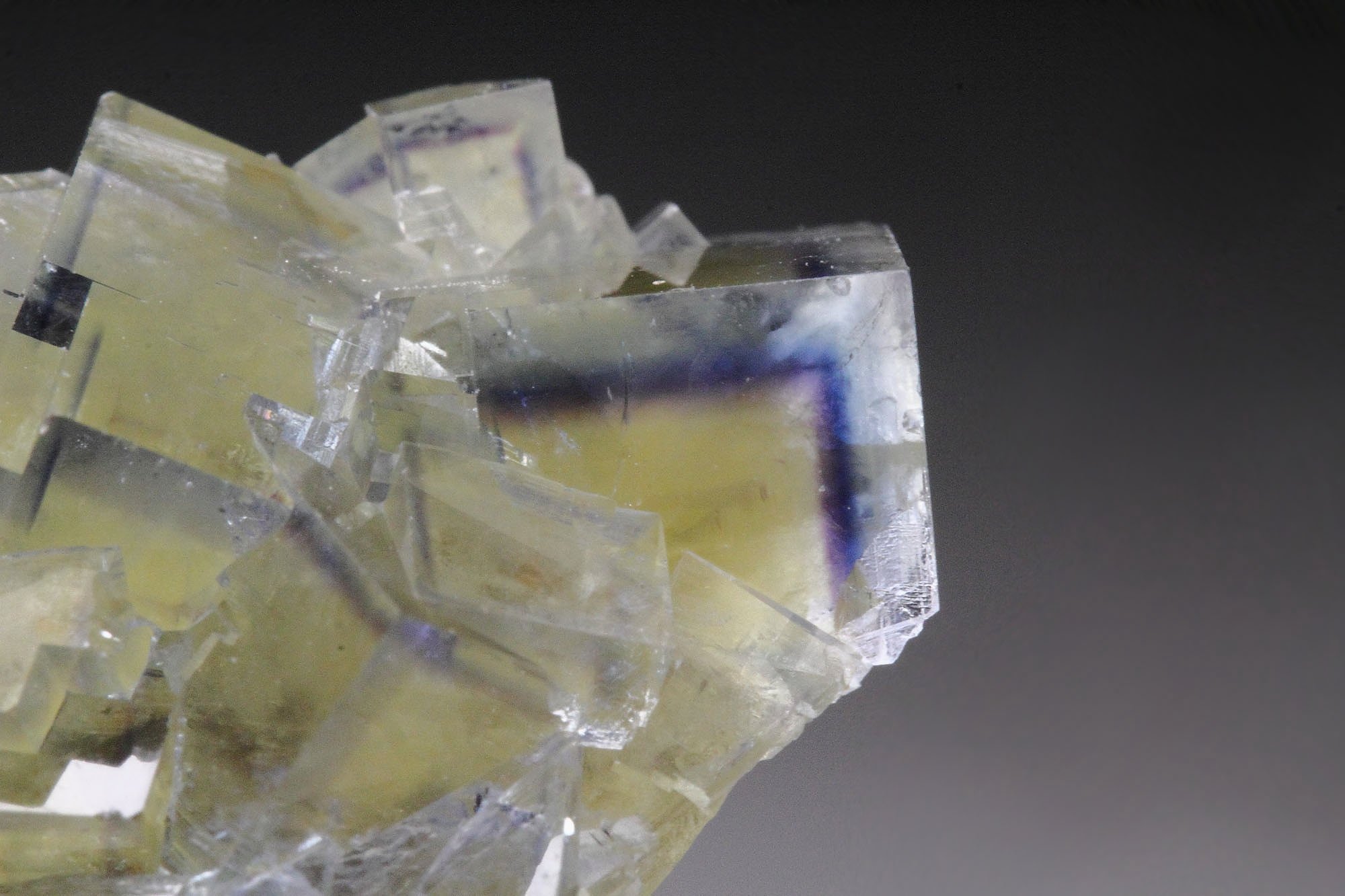 FLUORITE with PHANTOMS