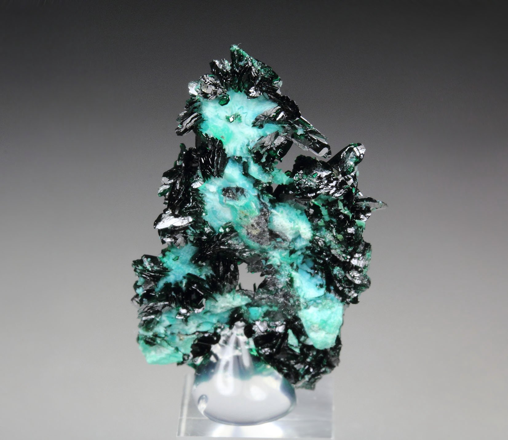 ATACAMITE, CHRYSOCOLLA