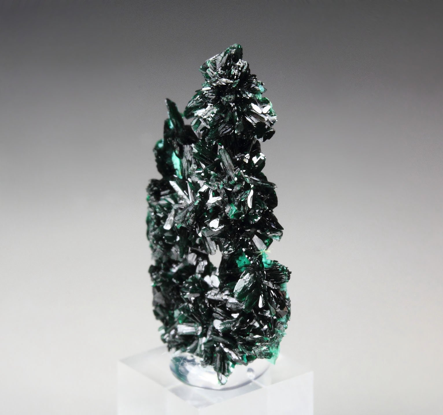 ATACAMITE, CHRYSOCOLLA