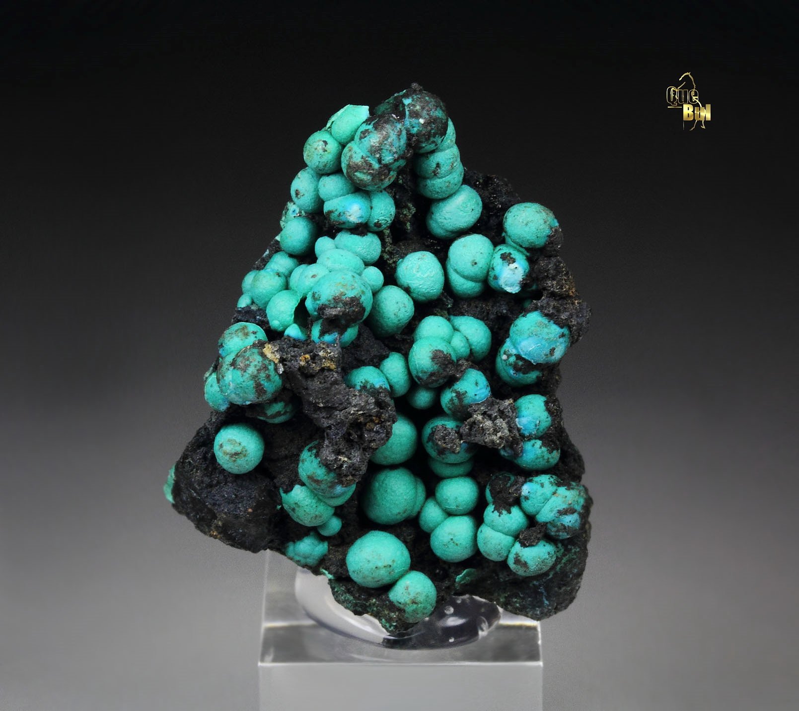 CHRYSOCOLLA