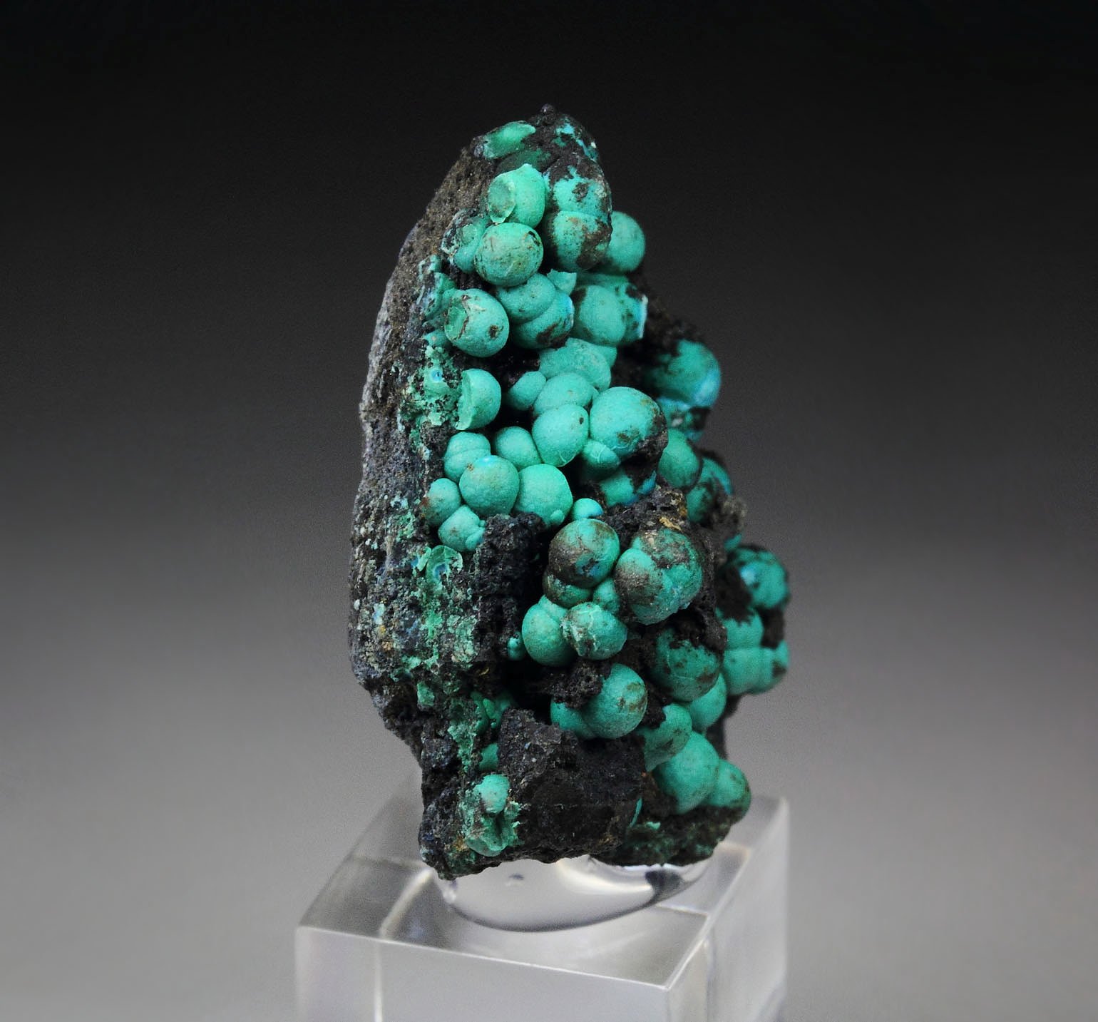 CHRYSOCOLLA