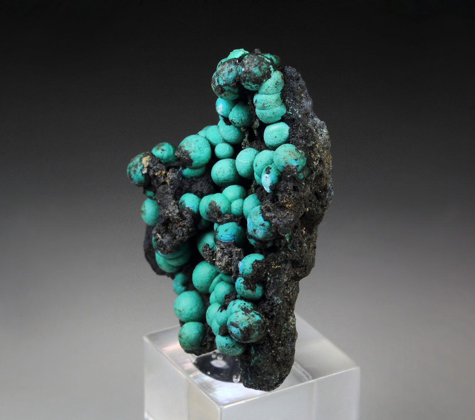 CHRYSOCOLLA