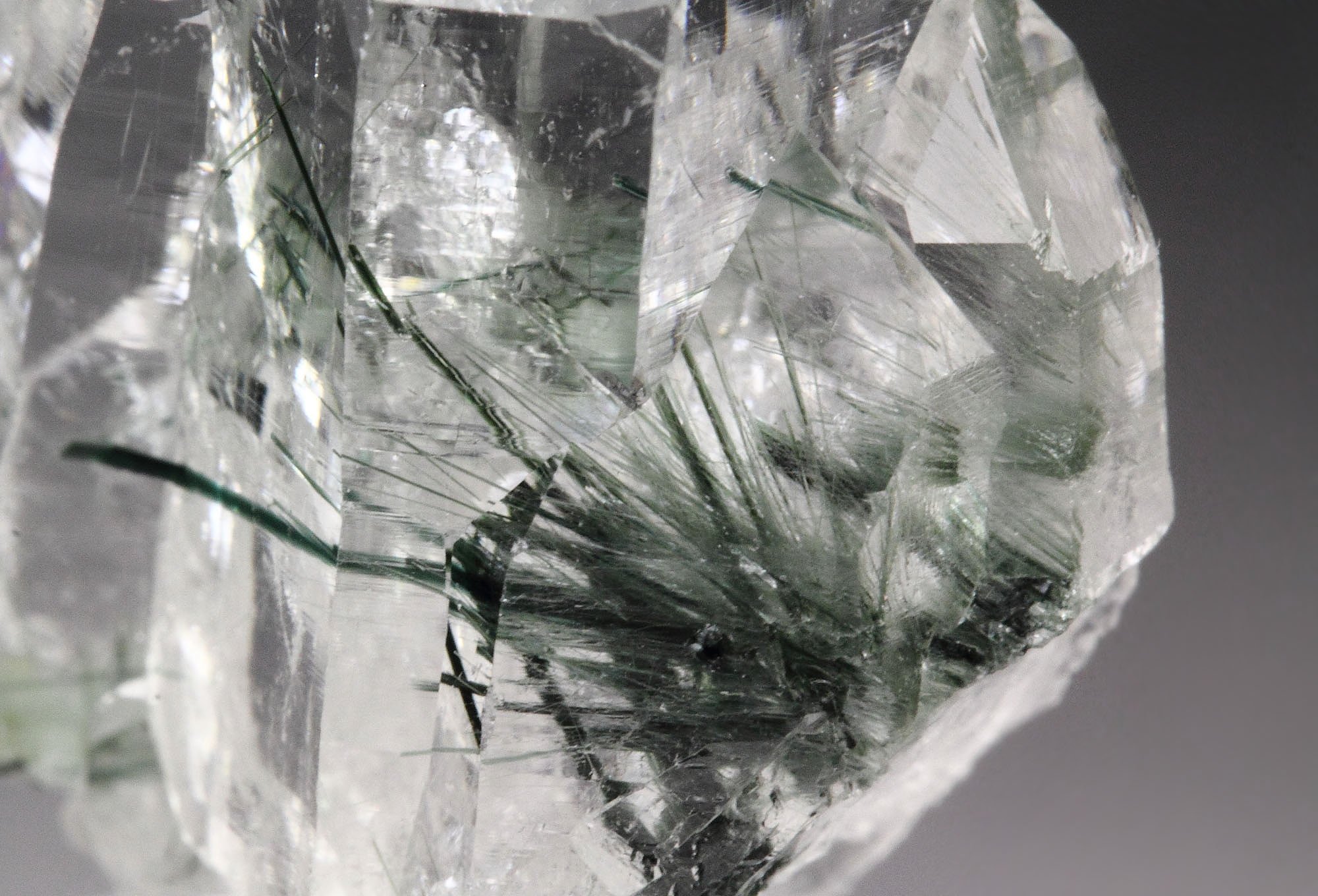 QUARTZ with ACTINOLITE inclusions