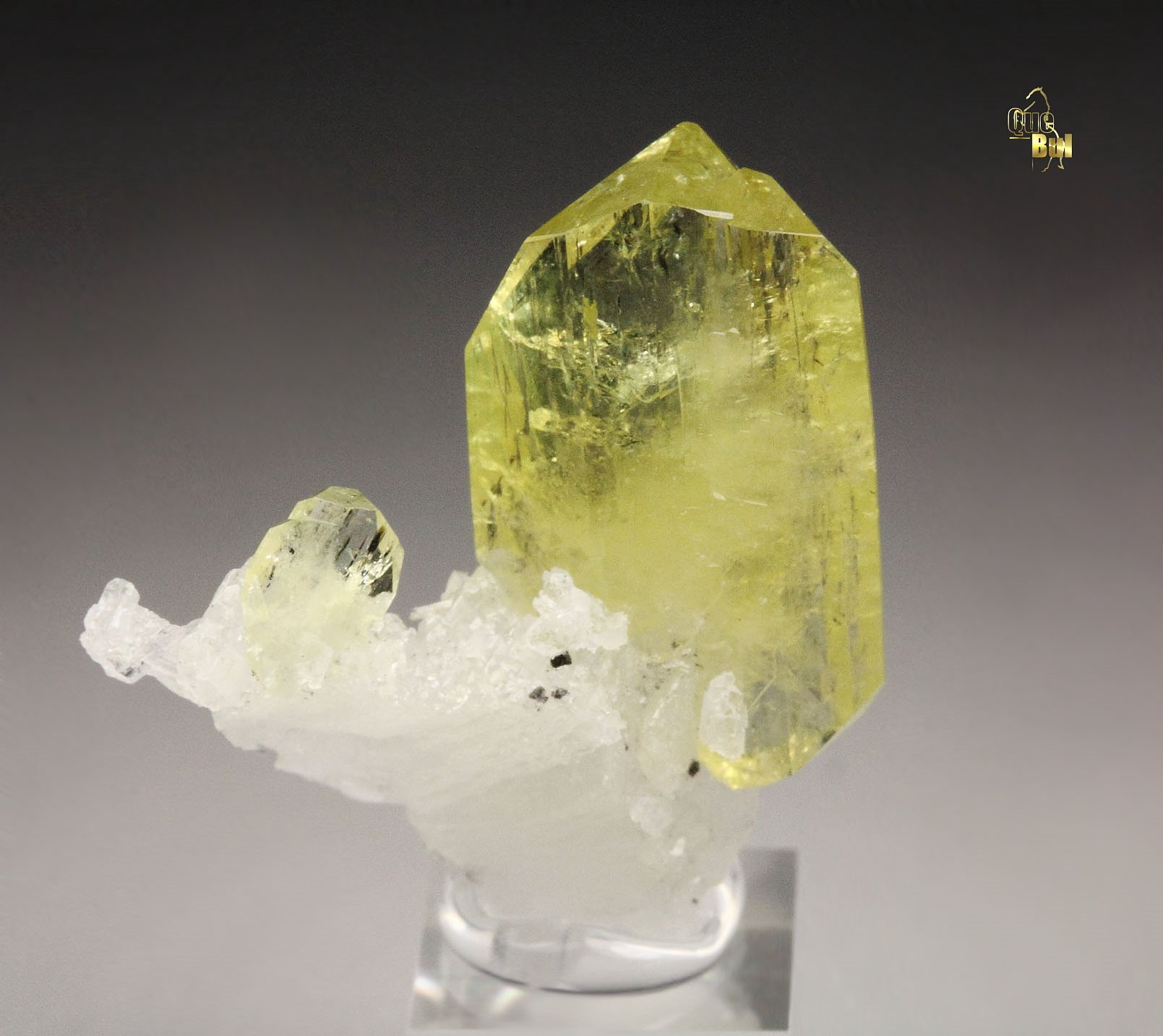 gem BRAZILIANITE, ALBITE