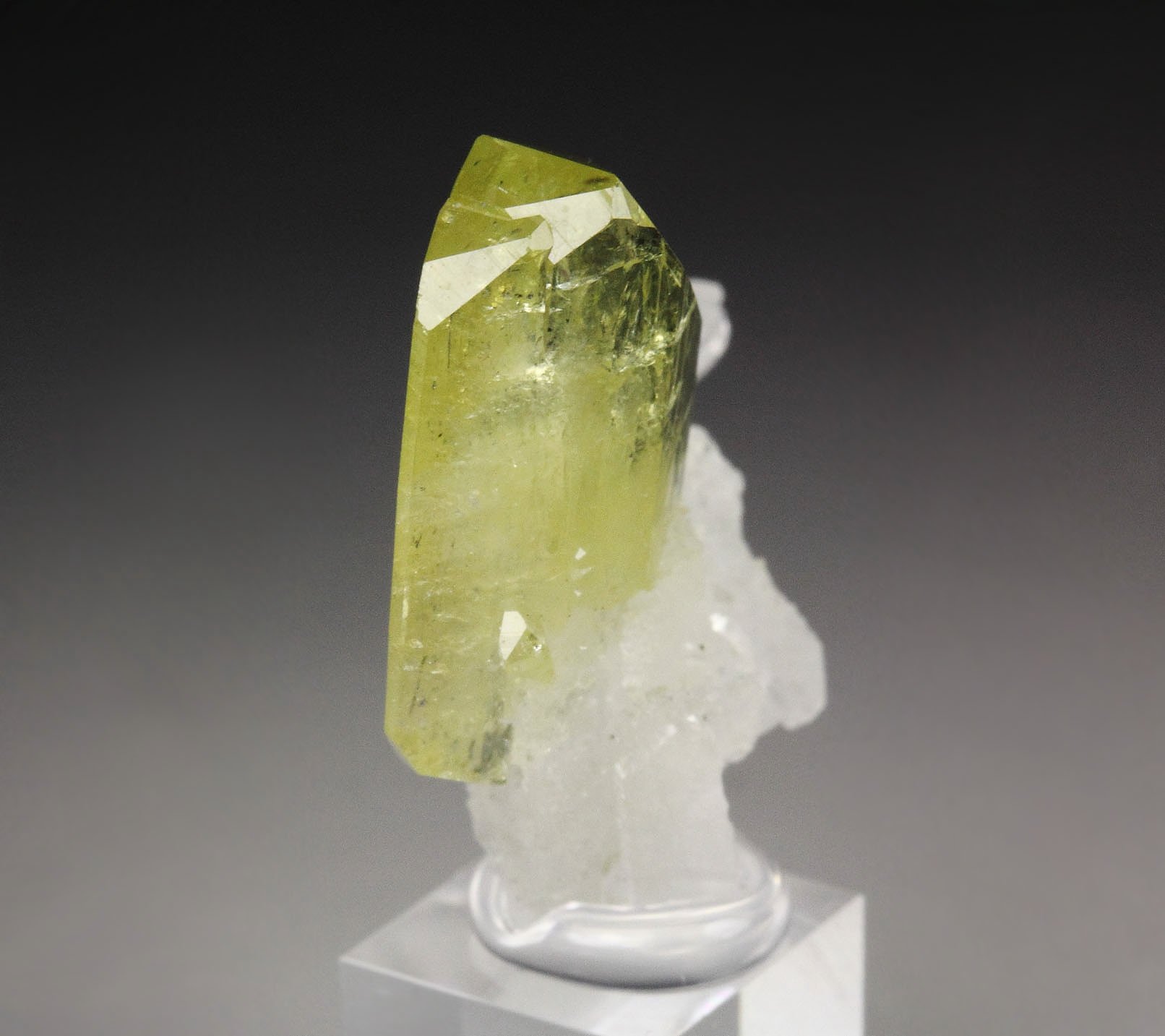 gem BRAZILIANITE, ALBITE