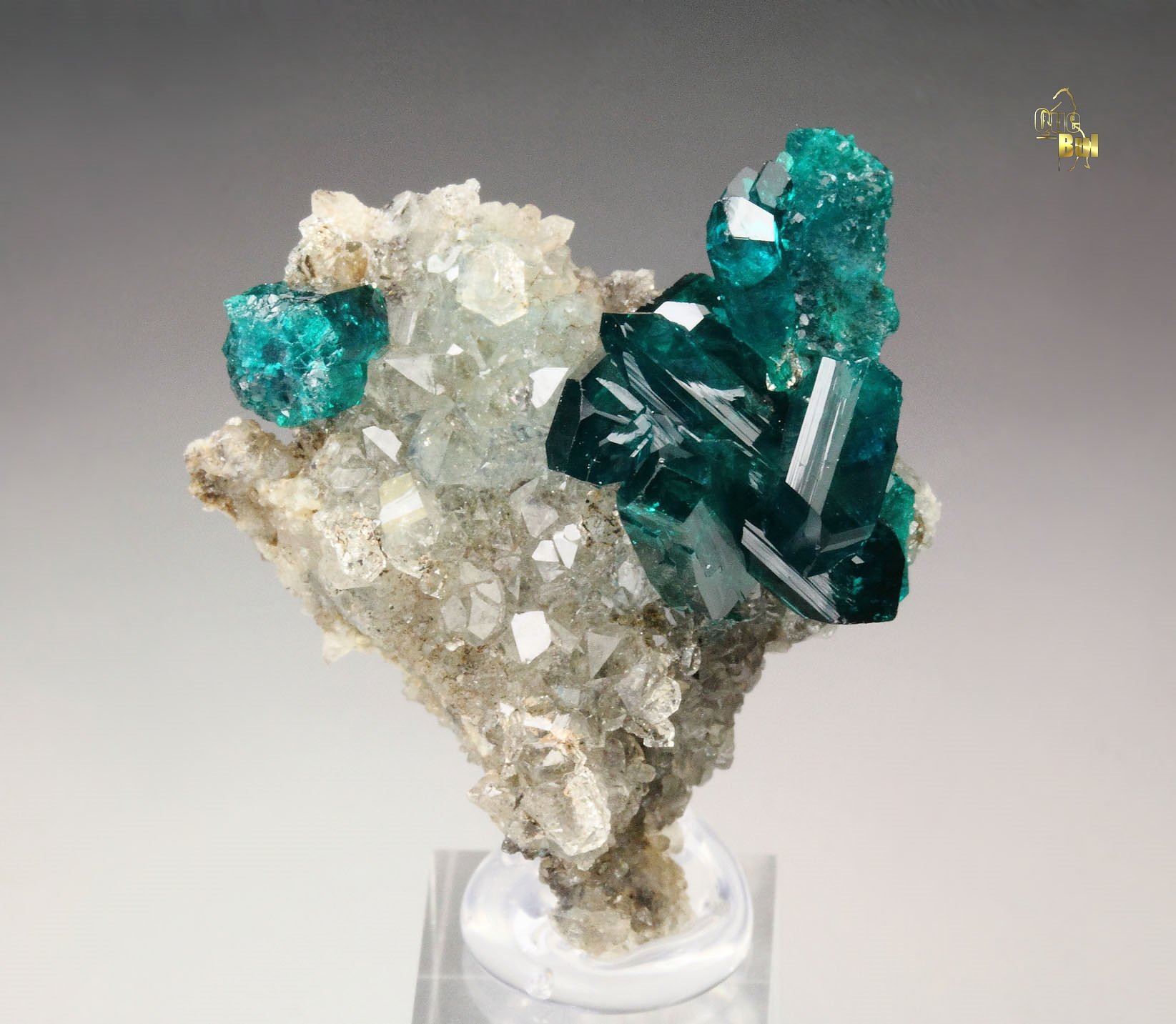 gem DIOPTASE bi-terminated, QUARTZ