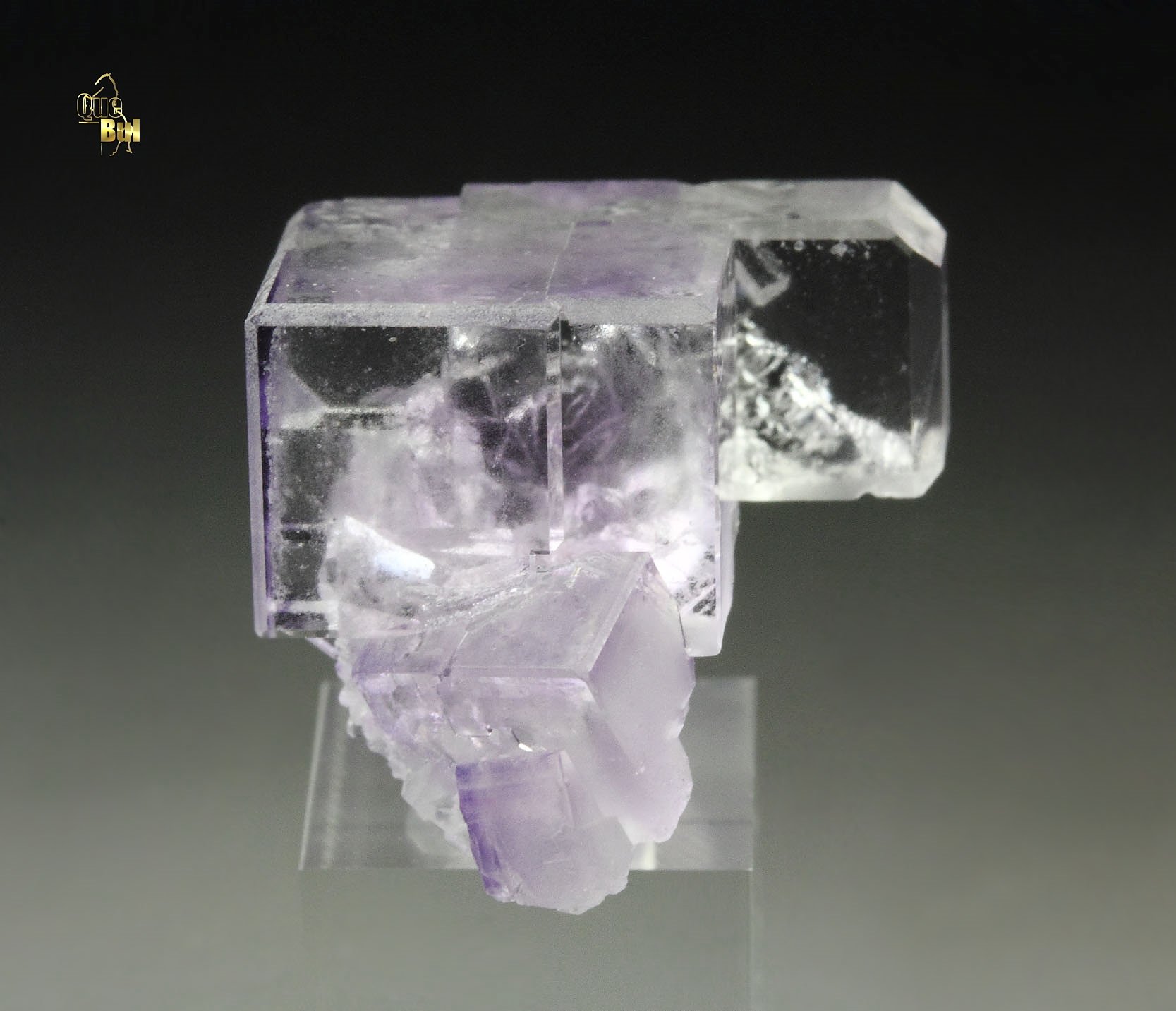 FLUORITE