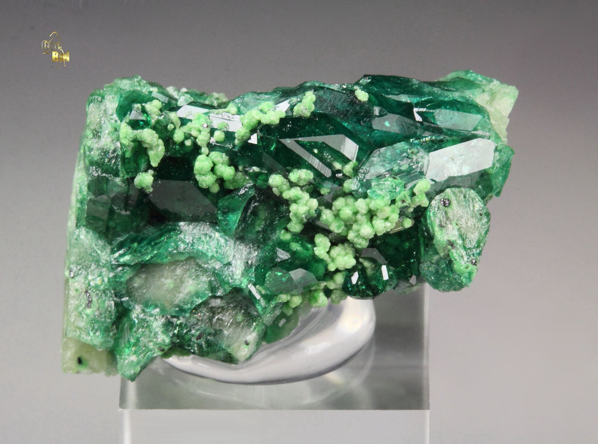 gem VESUVIANITE var. CHROMIAN, DIOPSIDE