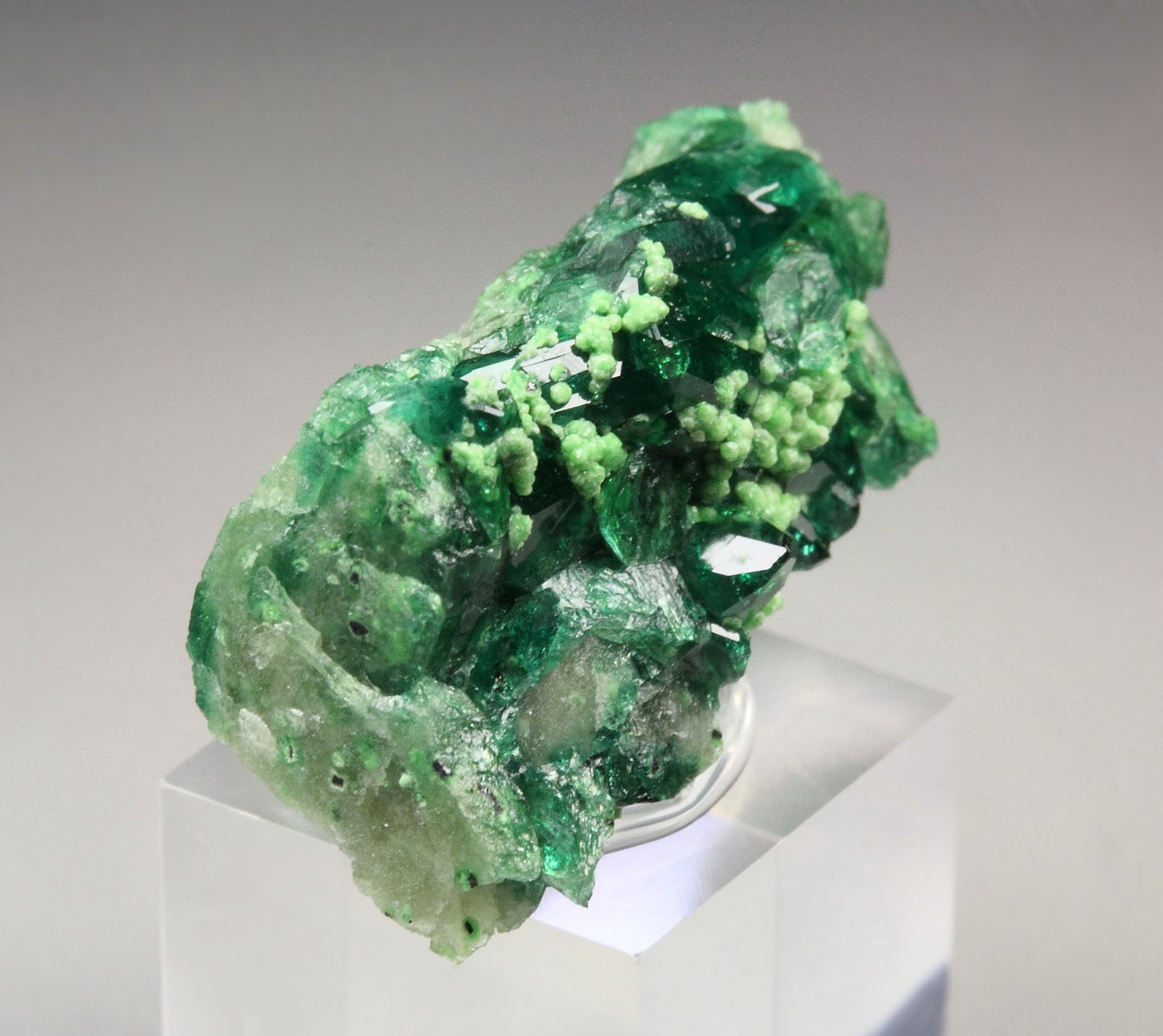 gem VESUVIANITE var. CHROMIAN, DIOPSIDE