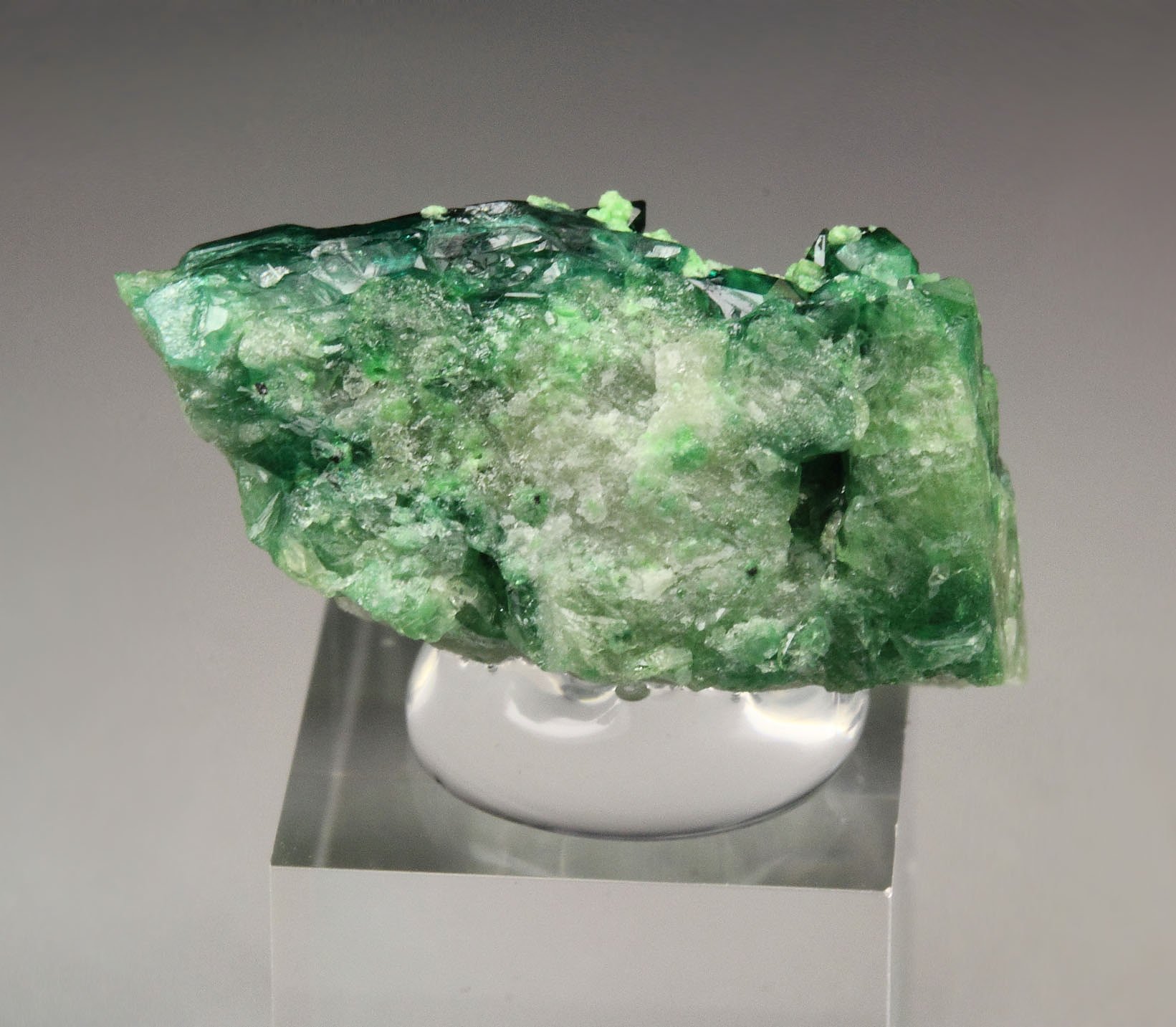 gem VESUVIANITE var. CHROMIAN, DIOPSIDE