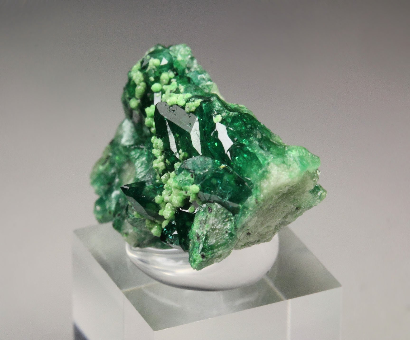 gem VESUVIANITE var. CHROMIAN, DIOPSIDE