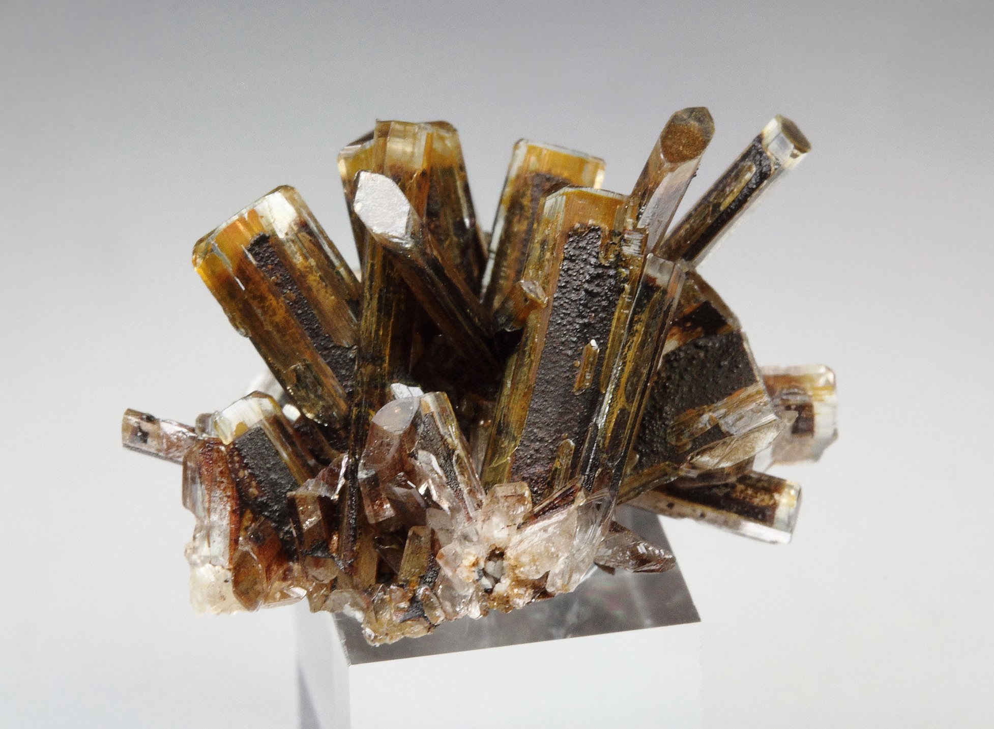 BARYTE 