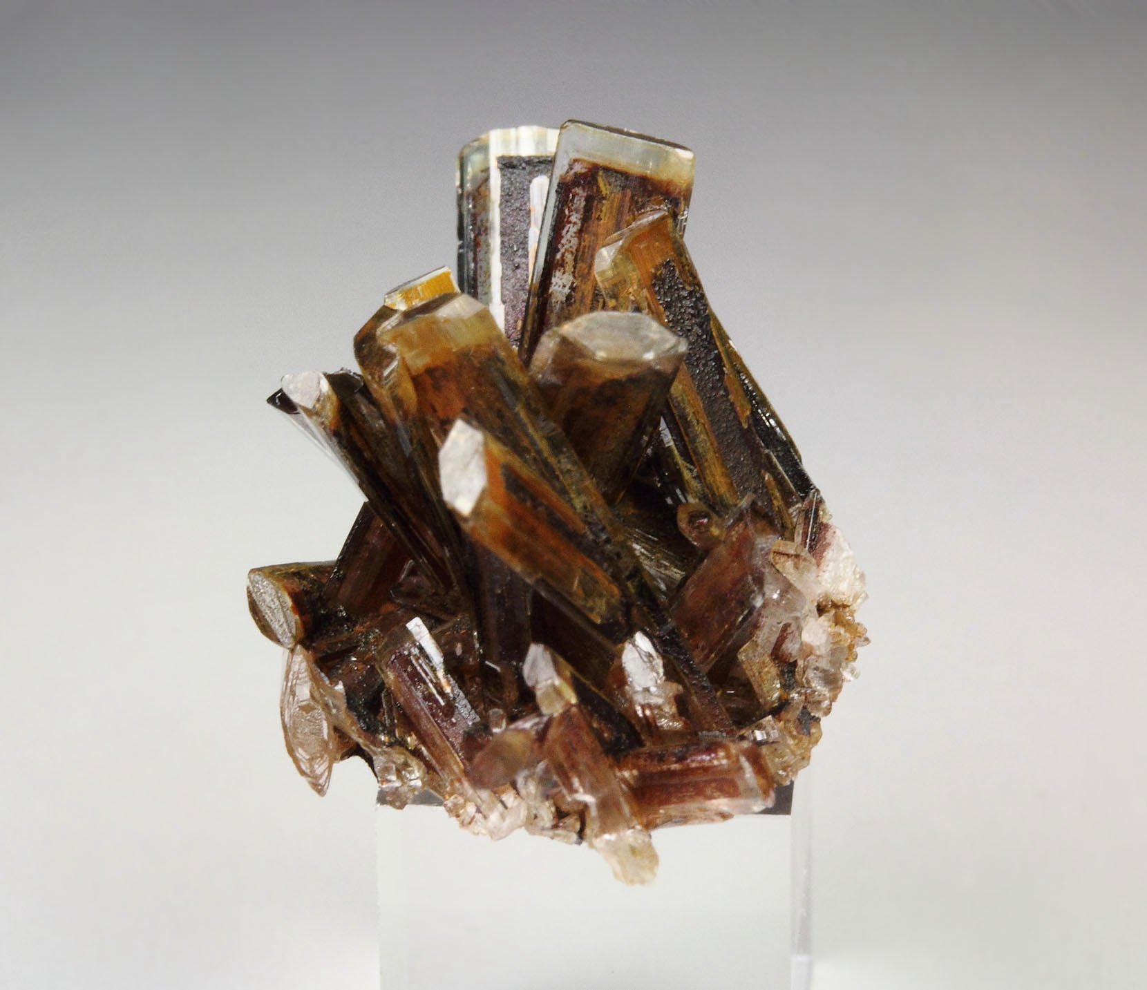 BARYTE 