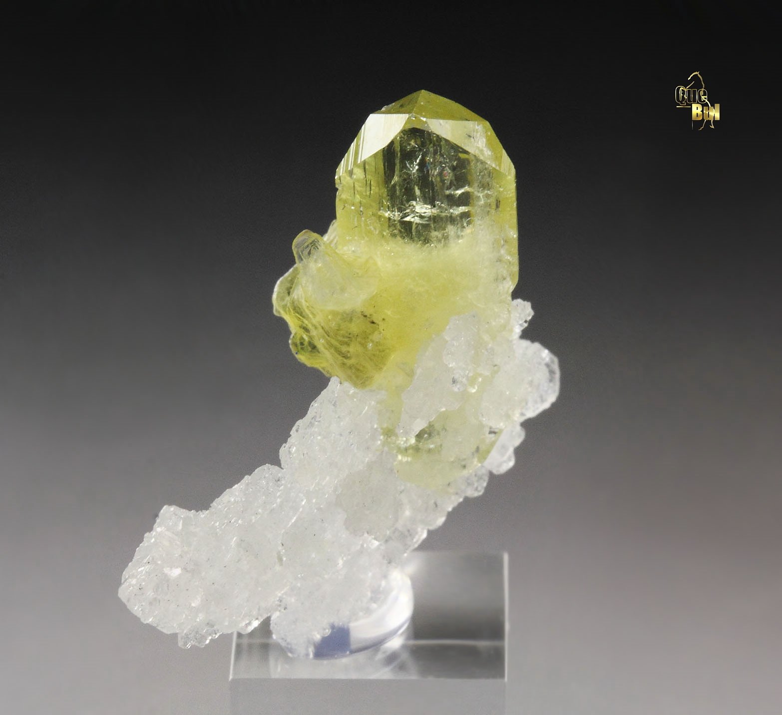 gem BRAZILIANITE, ALBITE, MUSCOVITE