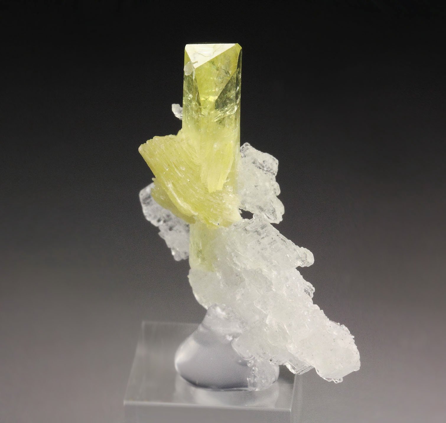 gem BRAZILIANITE, ALBITE, MUSCOVITE