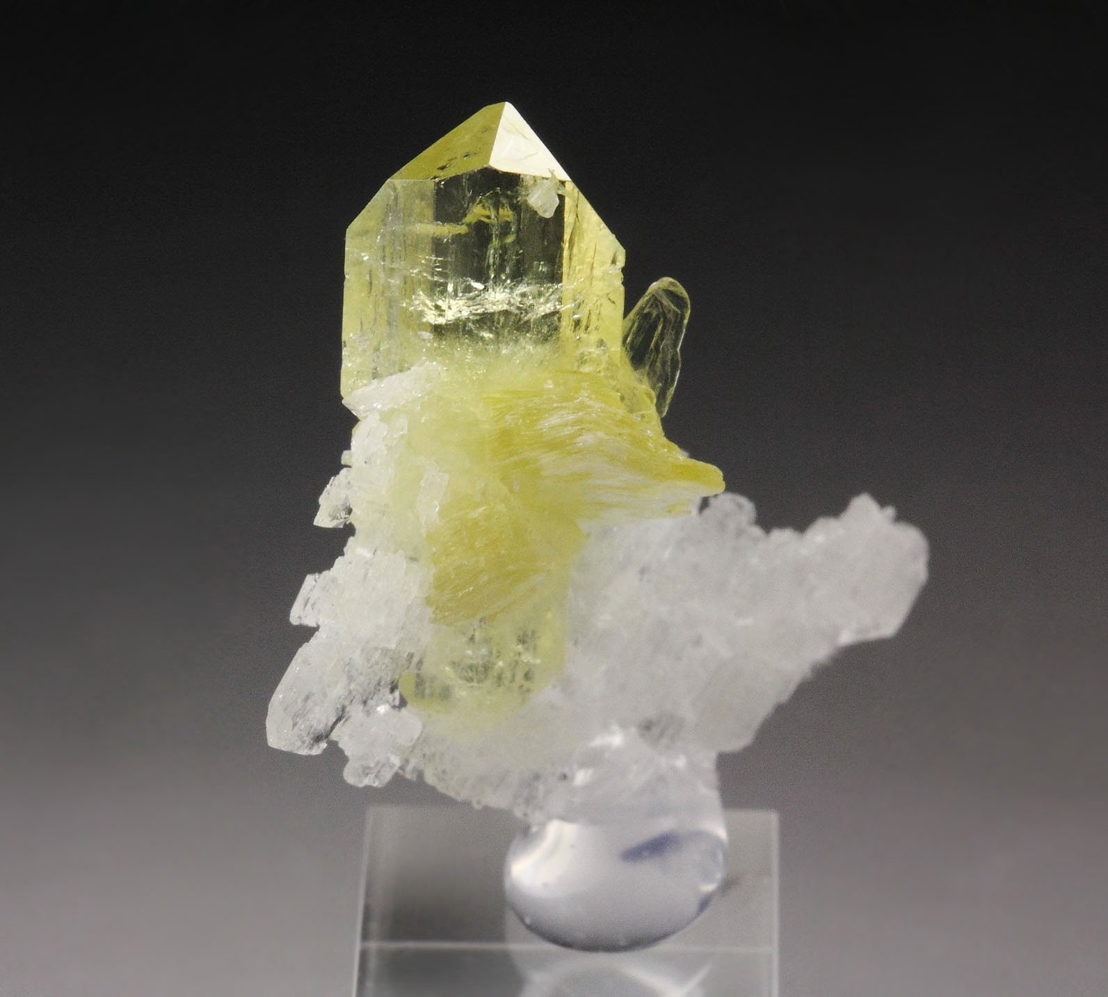 gem BRAZILIANITE, ALBITE, MUSCOVITE