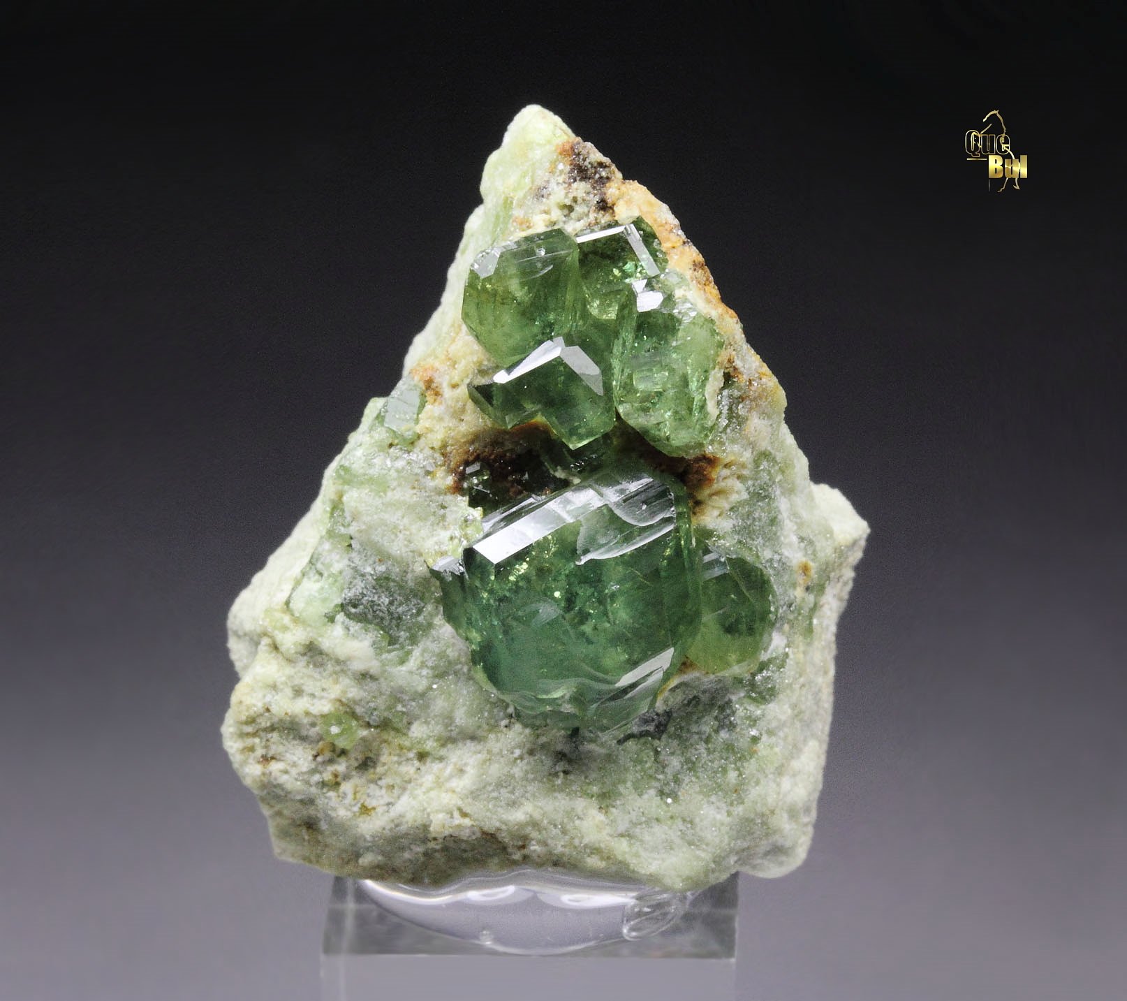 gem GARNET var. ANDRADITE var. DEMANTOID