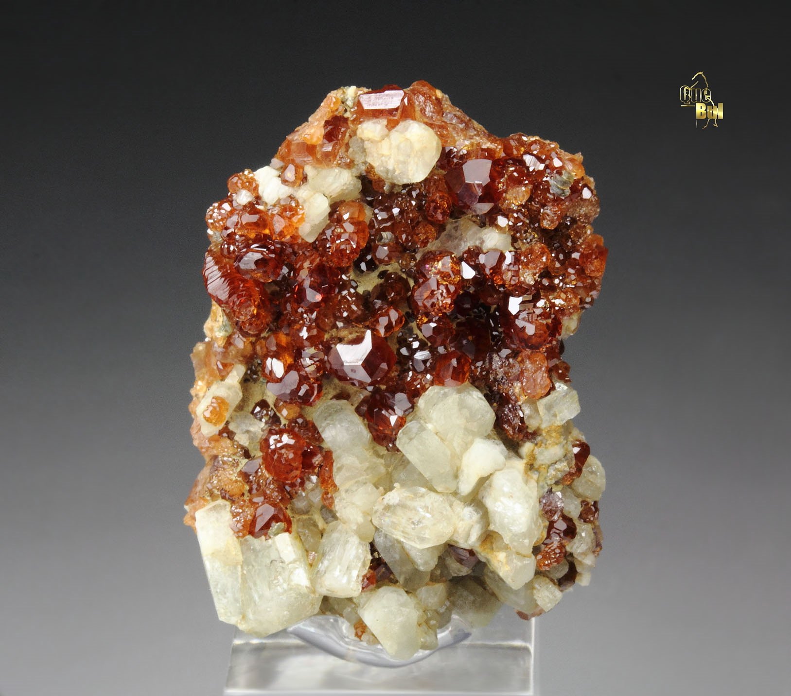 gem GARNET var. HESSONITE, DIOPSIDE