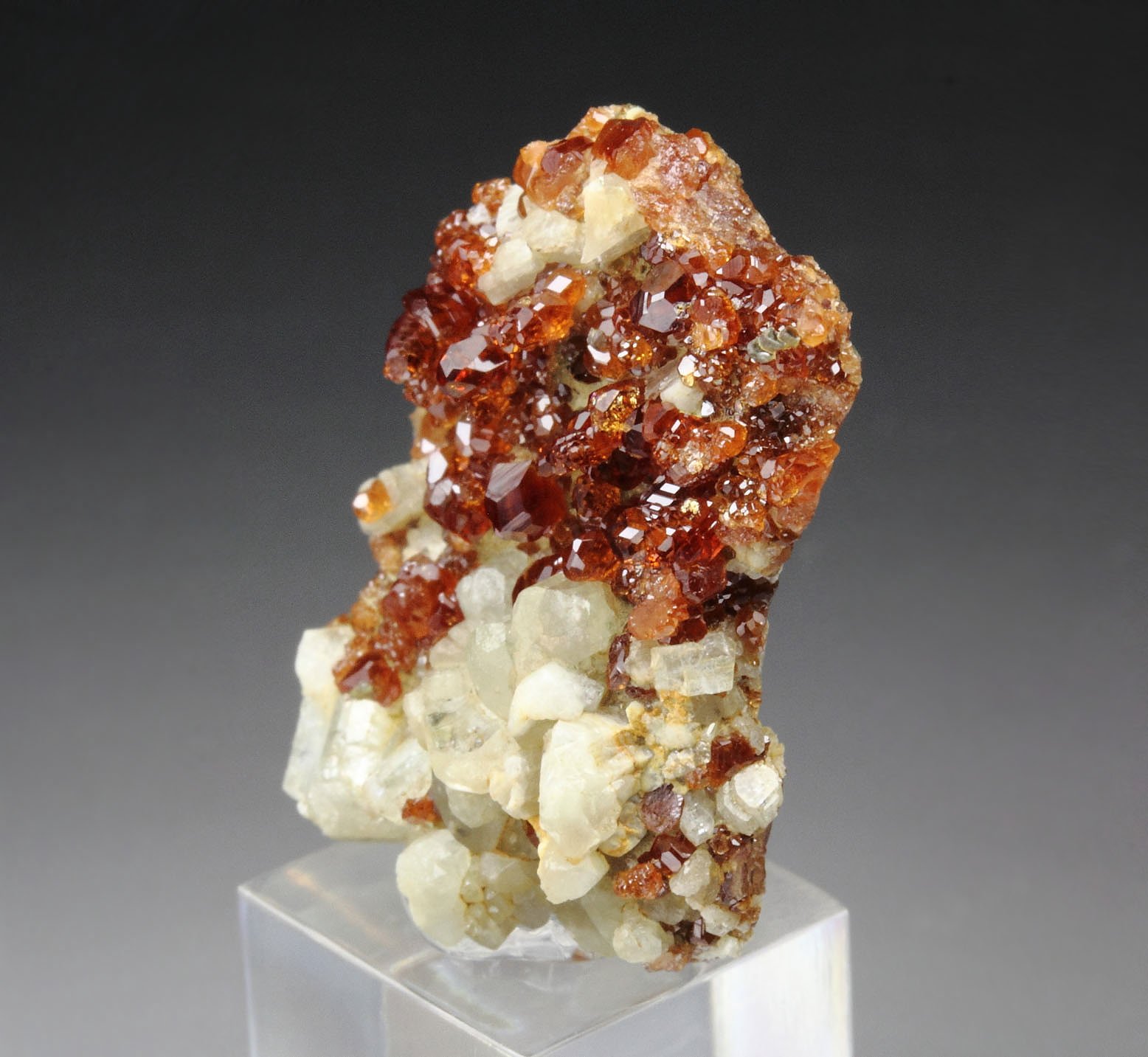 gem GARNET var. HESSONITE, DIOPSIDE