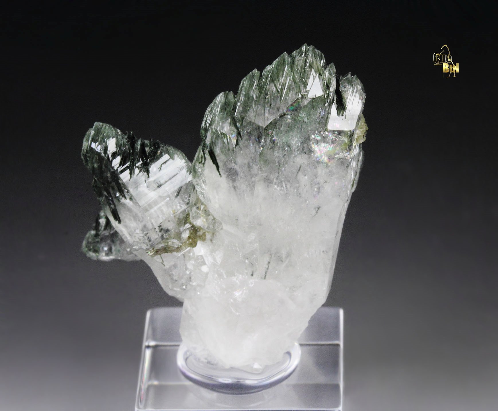 QUARTZ with ACTINOLITE inclusions