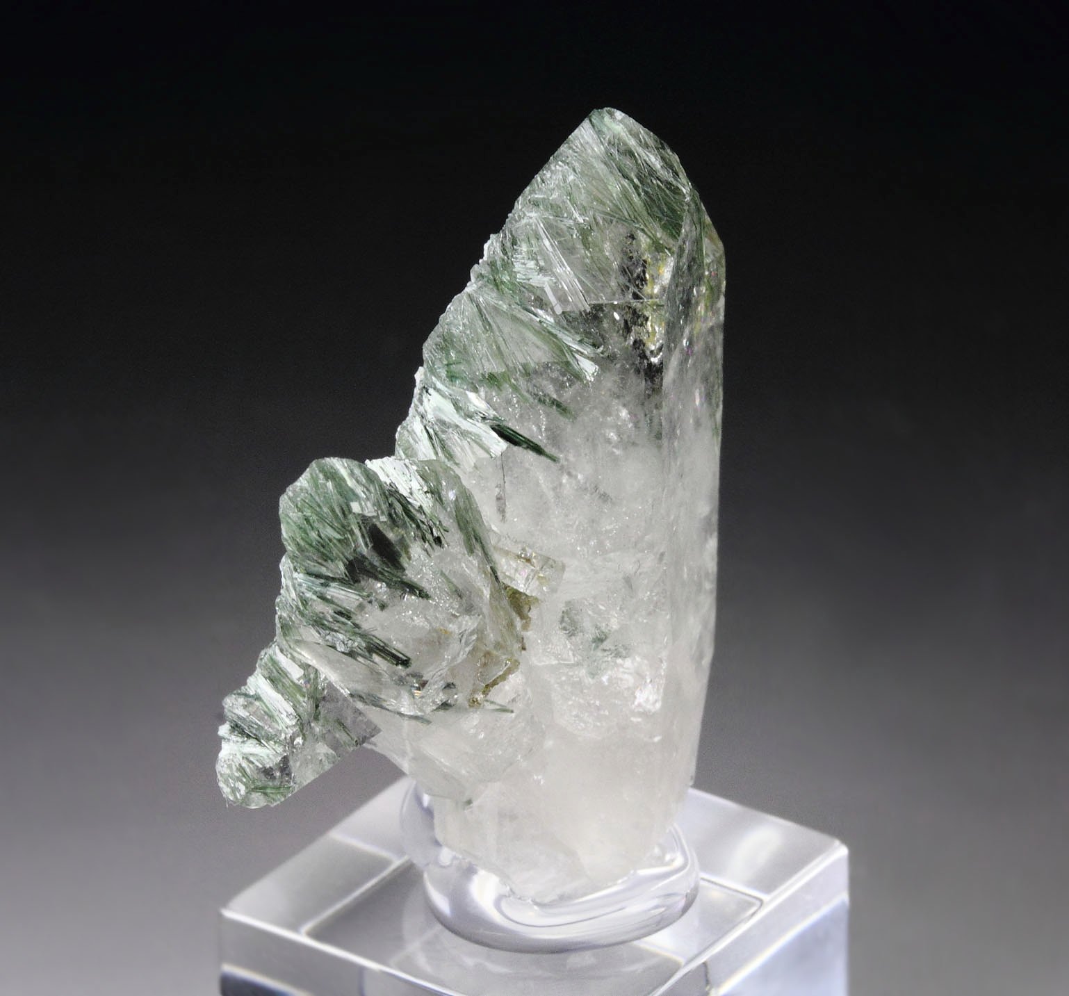 QUARTZ with ACTINOLITE inclusions