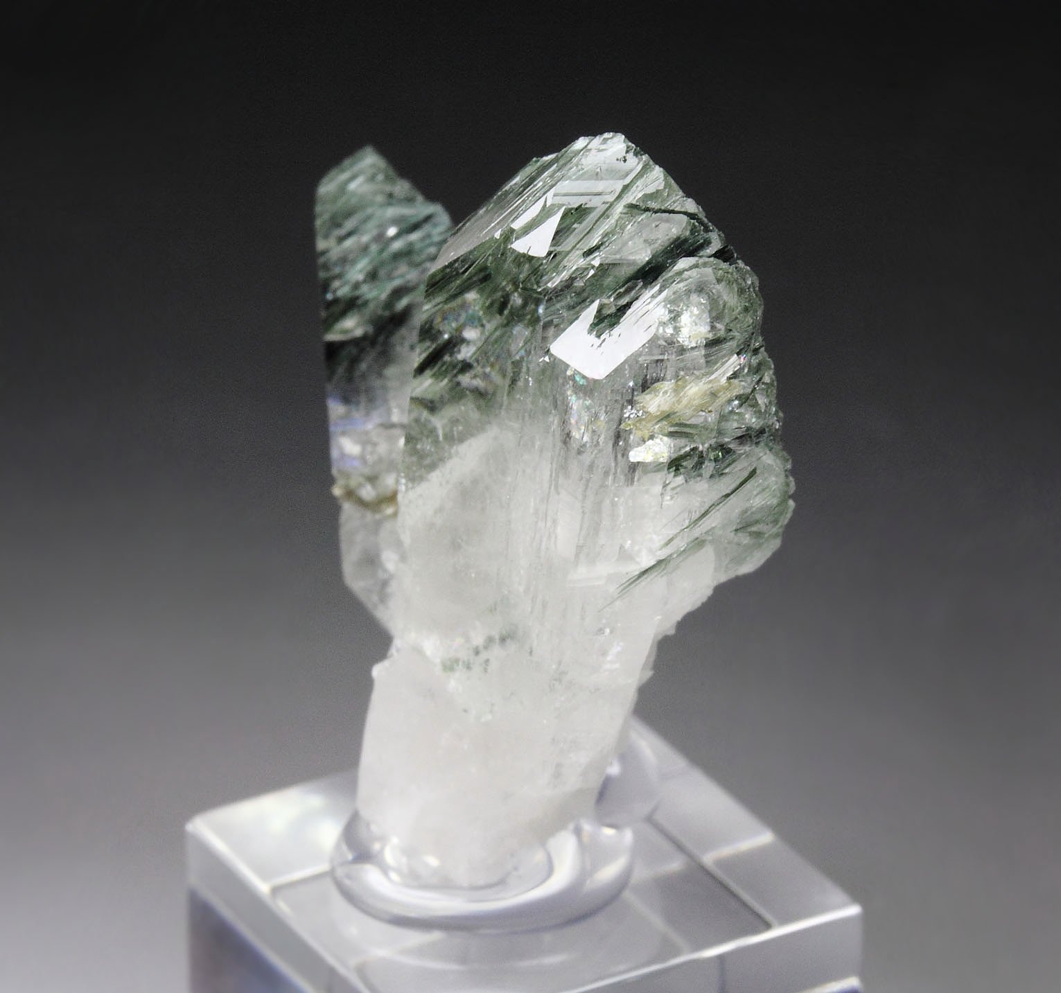 QUARTZ with ACTINOLITE inclusions