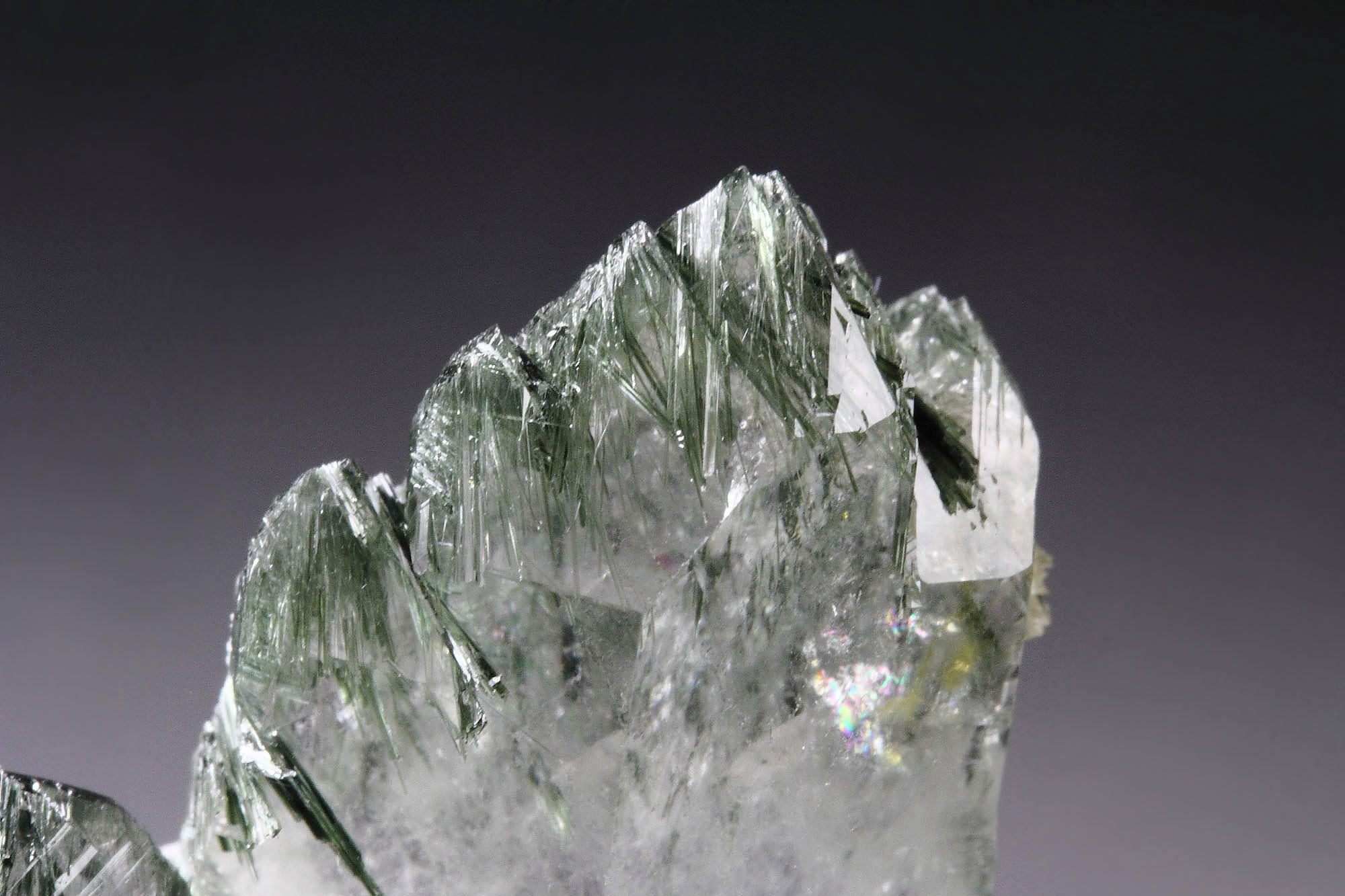 QUARTZ with ACTINOLITE inclusions