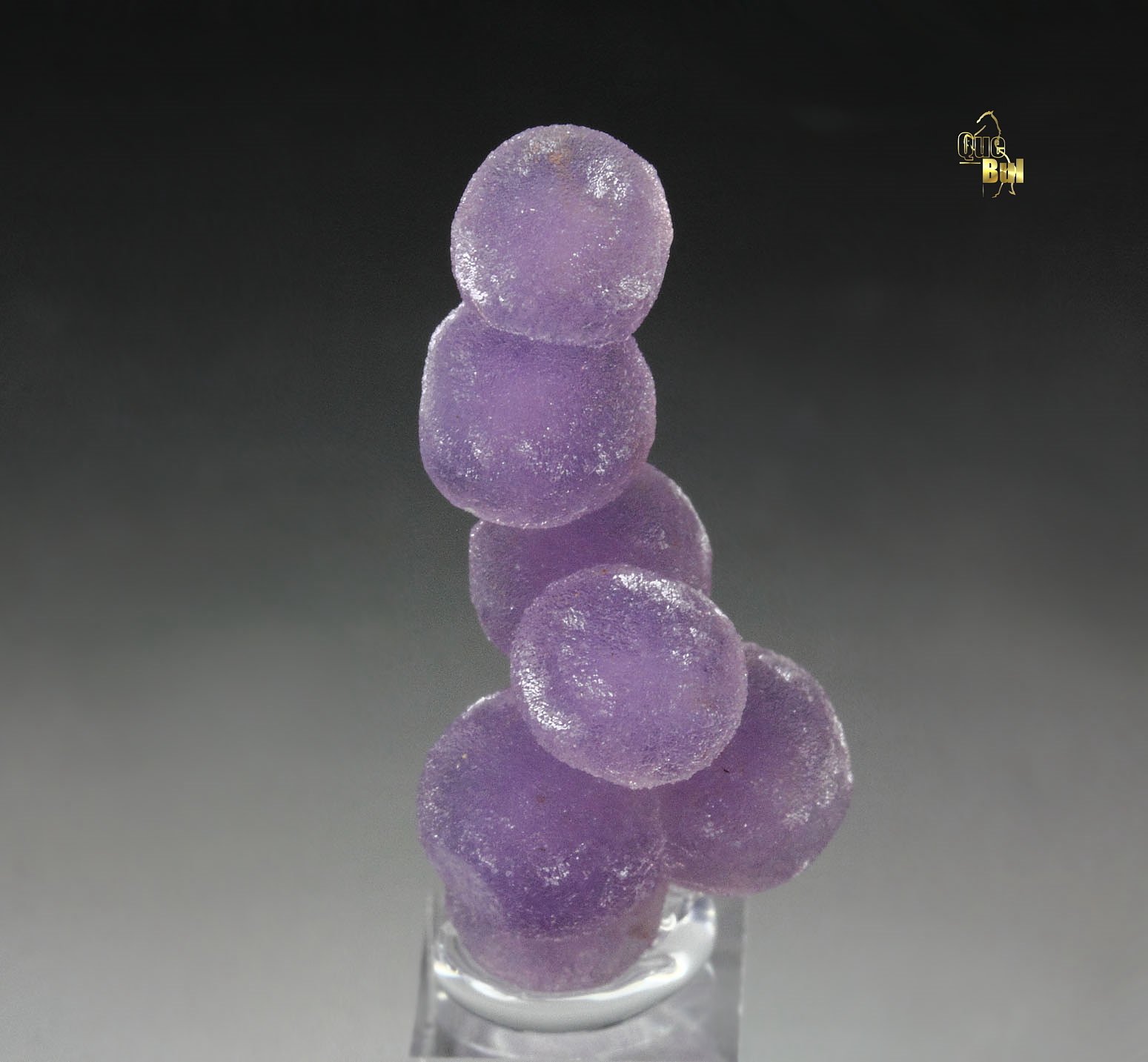 QUARTZ var. AMETHYST - grape agate