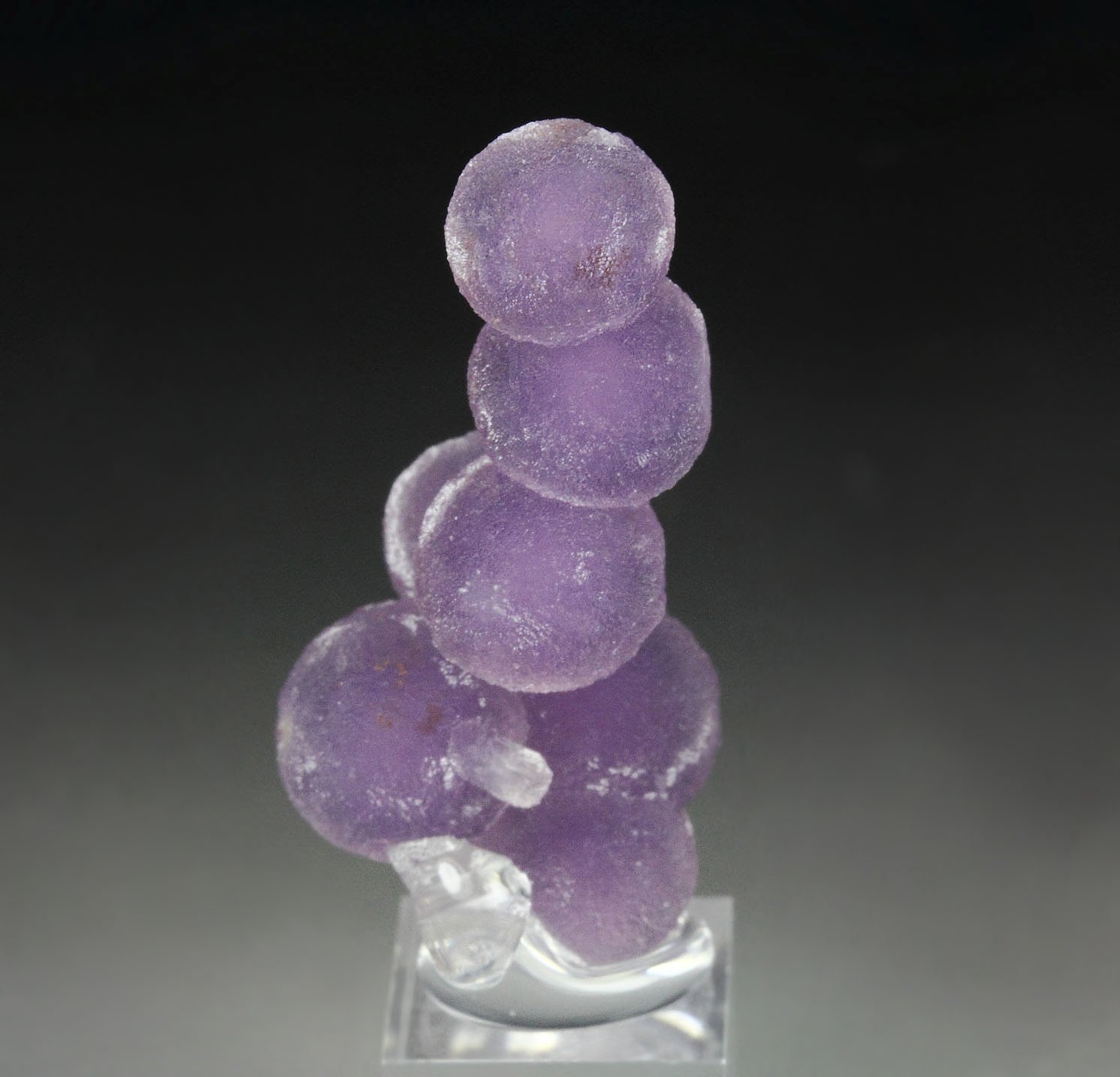 QUARTZ var. AMETHYST - grape agate