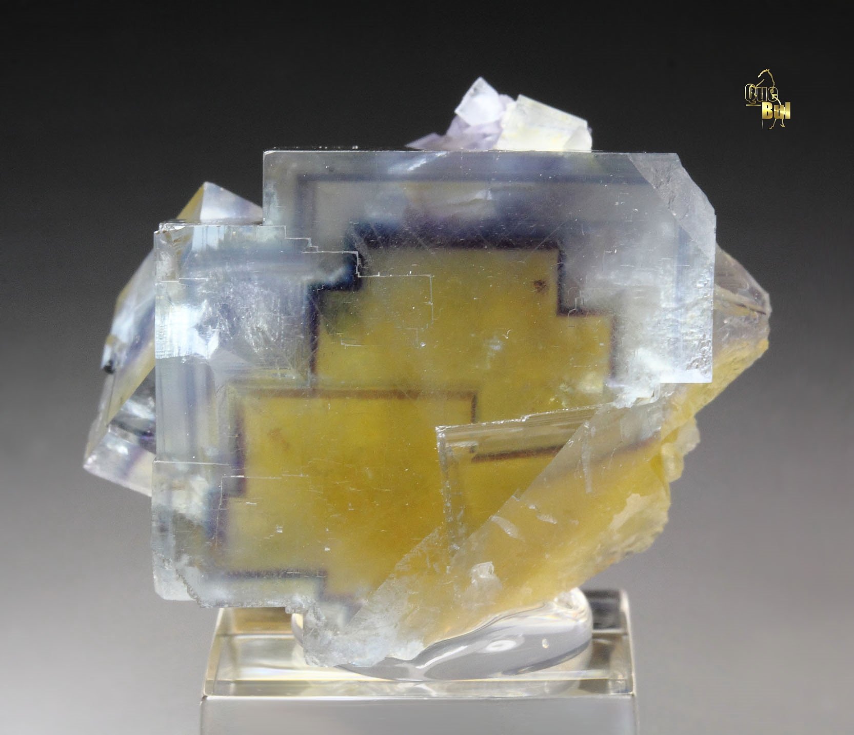 FLUORITE with PHANTOMS