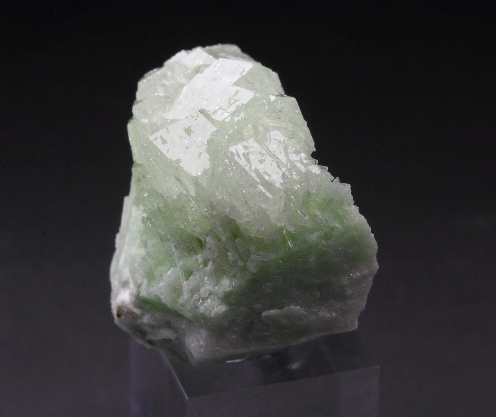 colorless gem GARNET var. GROSSULAR, DIOPSIDE