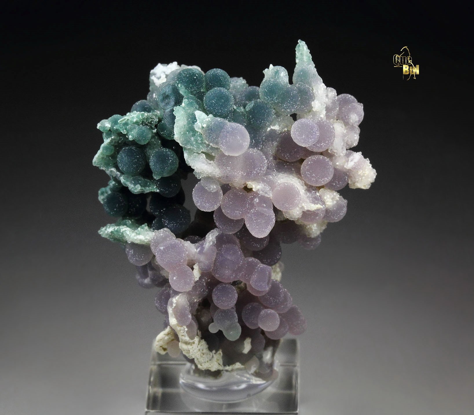 QUARTZ var. AMETHYST - grape agate