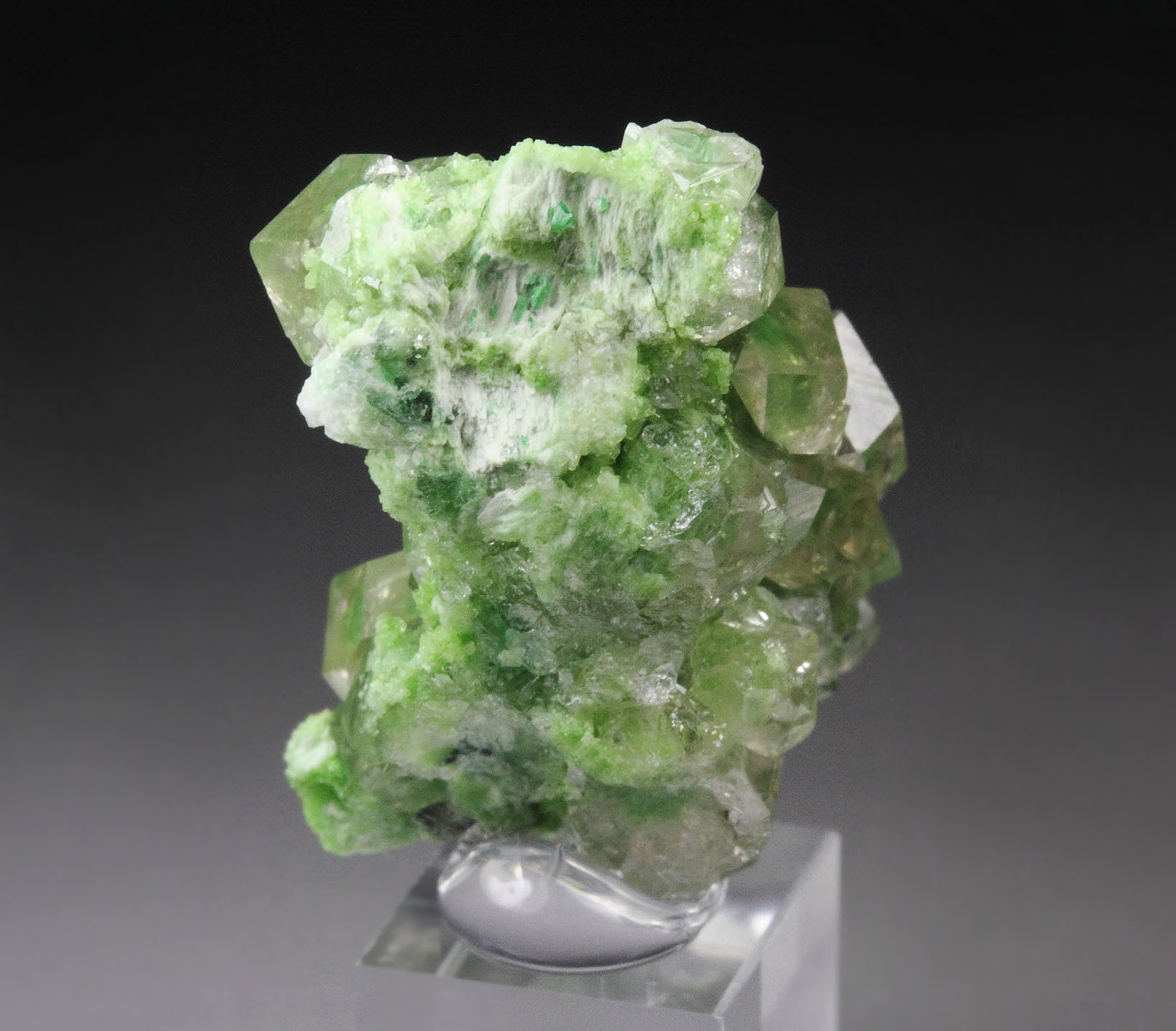 gem GARNET var. GROSSULAR with GREEN CHROMIAN PHANTOMS