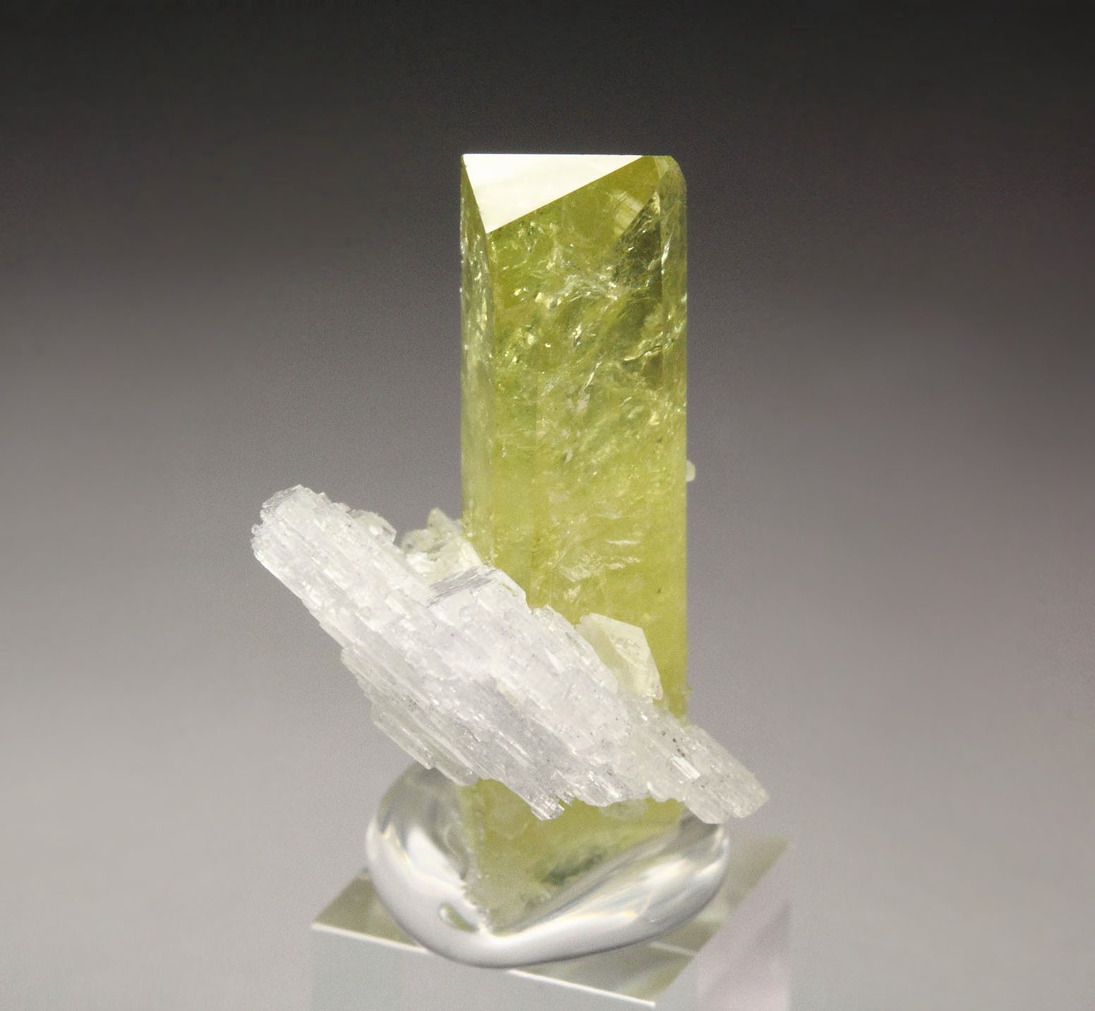 gem BRAZILIANITE, ALBITE