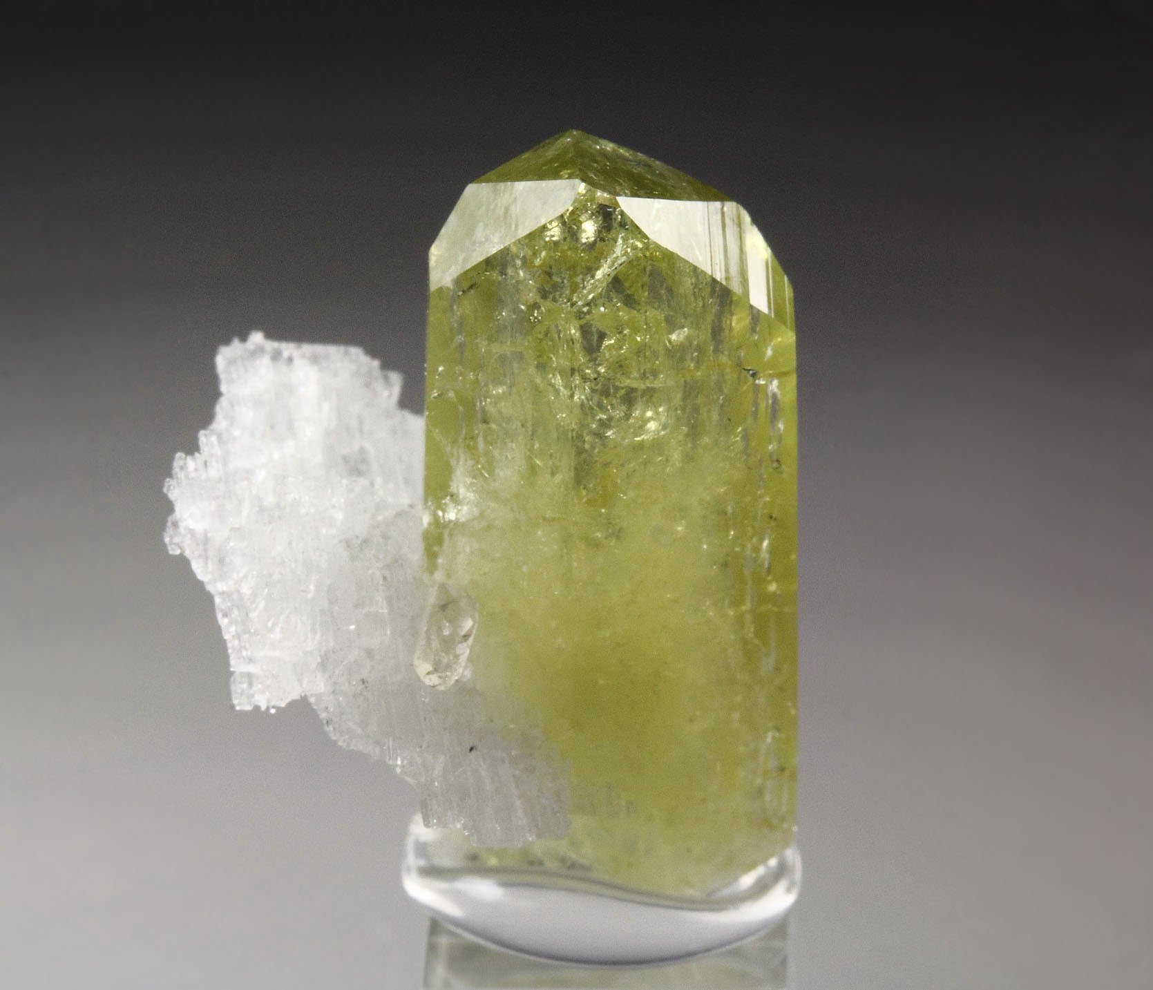 gem BRAZILIANITE, ALBITE