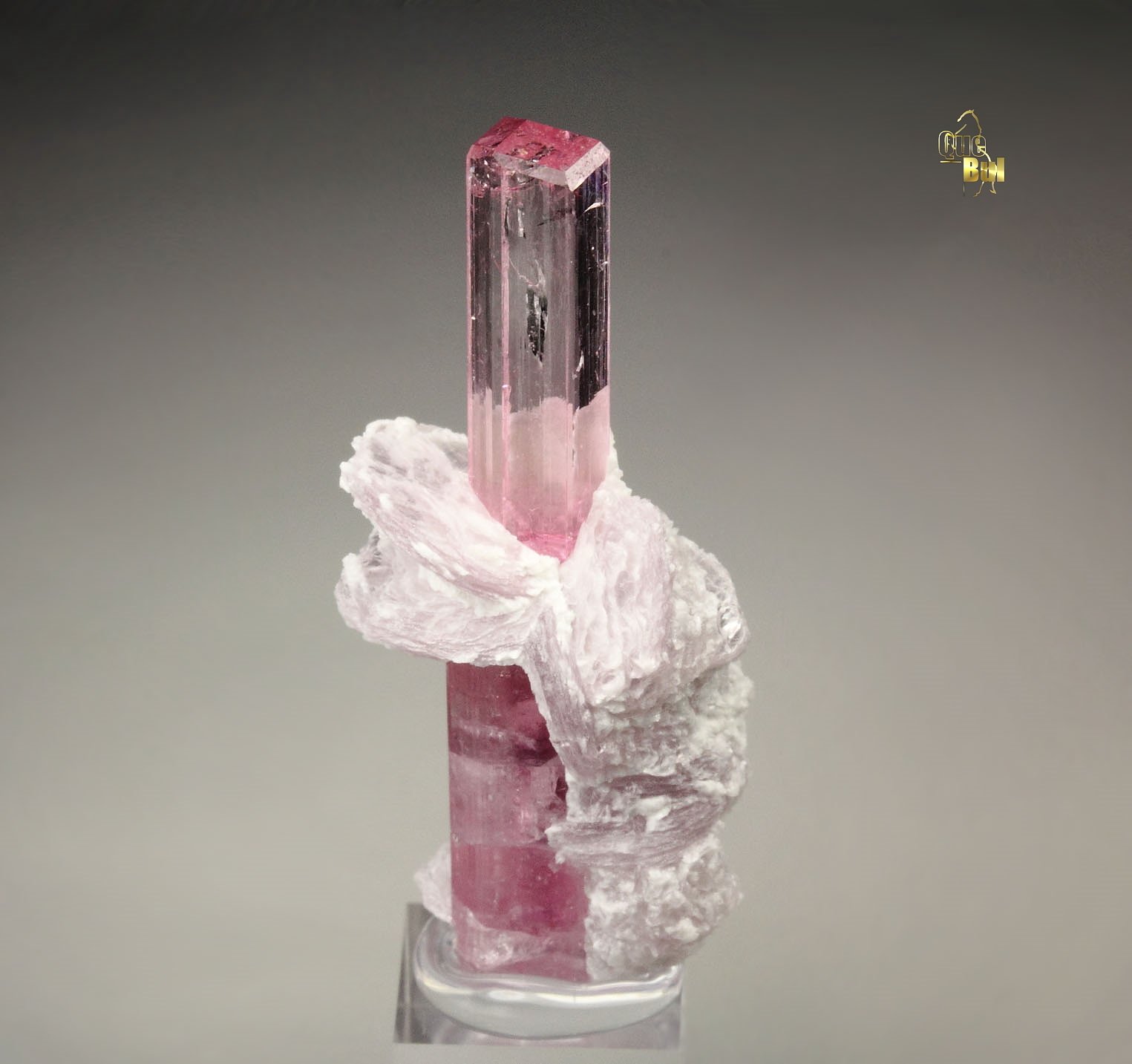 gem TOURMALINE var. ELBAITE, LEPIDOLITE