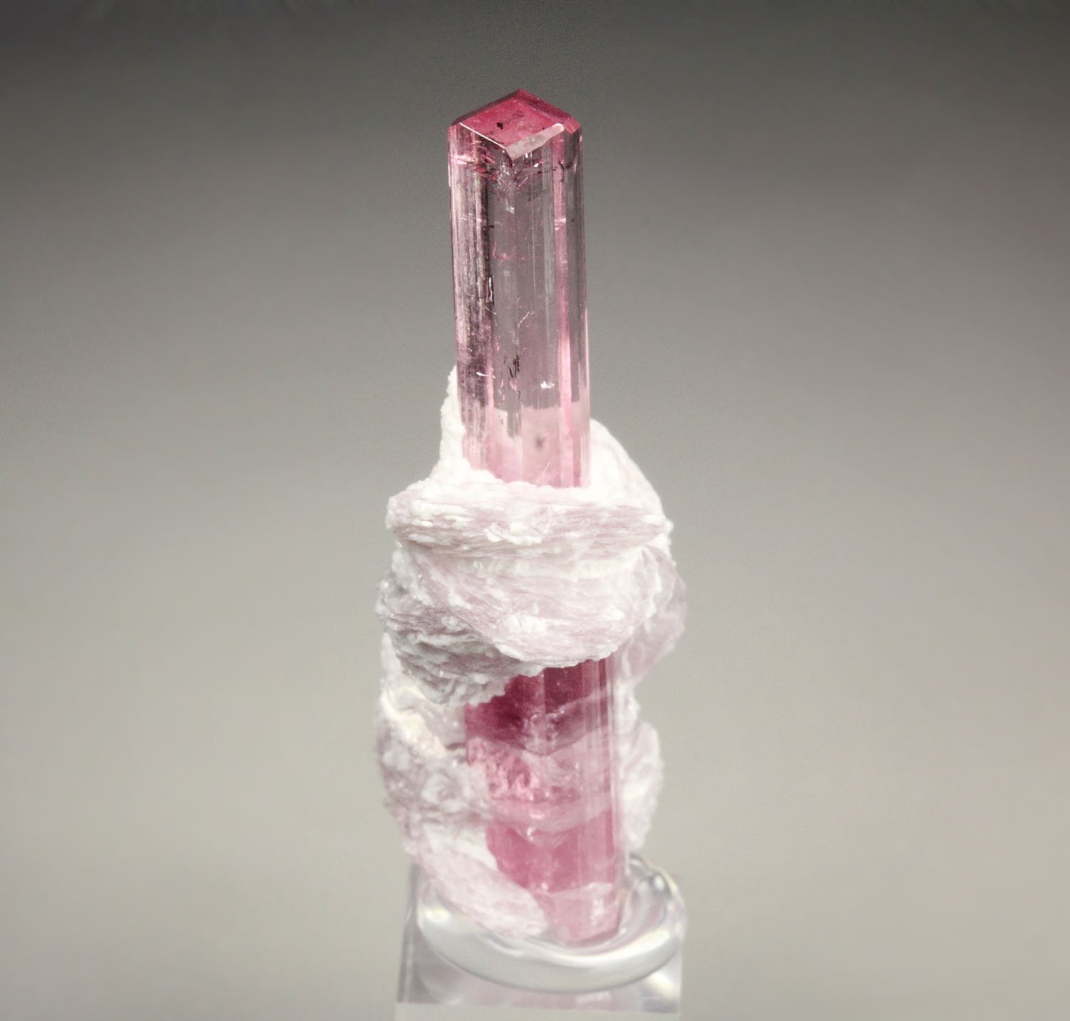 gem TOURMALINE var. ELBAITE, LEPIDOLITE